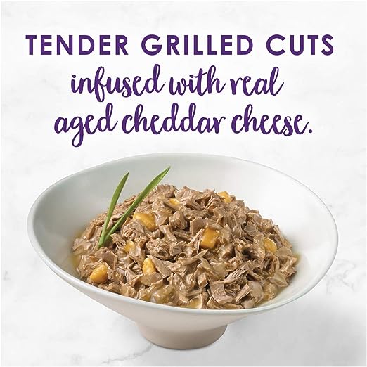 Fancy Feast Delights With Cheddar Grilled Turkey And Cheddar Cheese Feast In Gravy Wet Cat Food 85g x 48