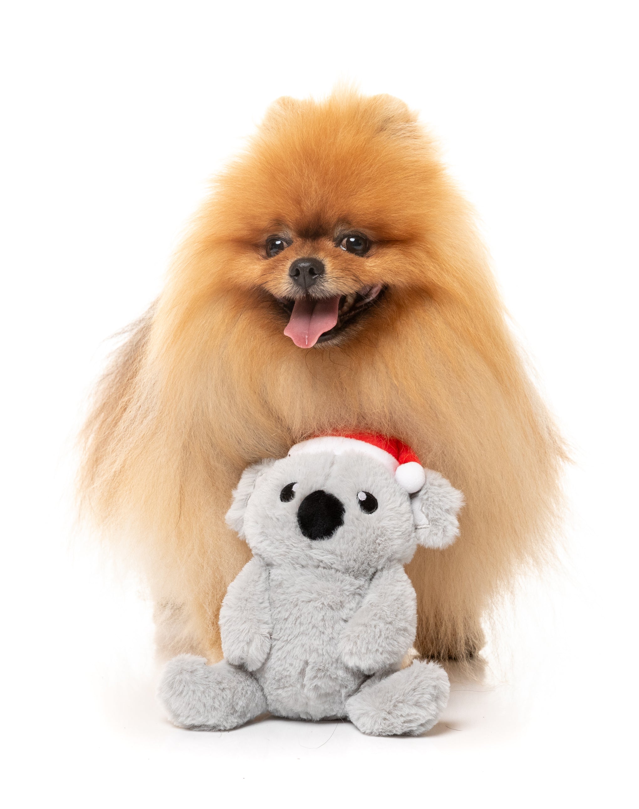 FuzzYard Coco Koala Dog Toy Small