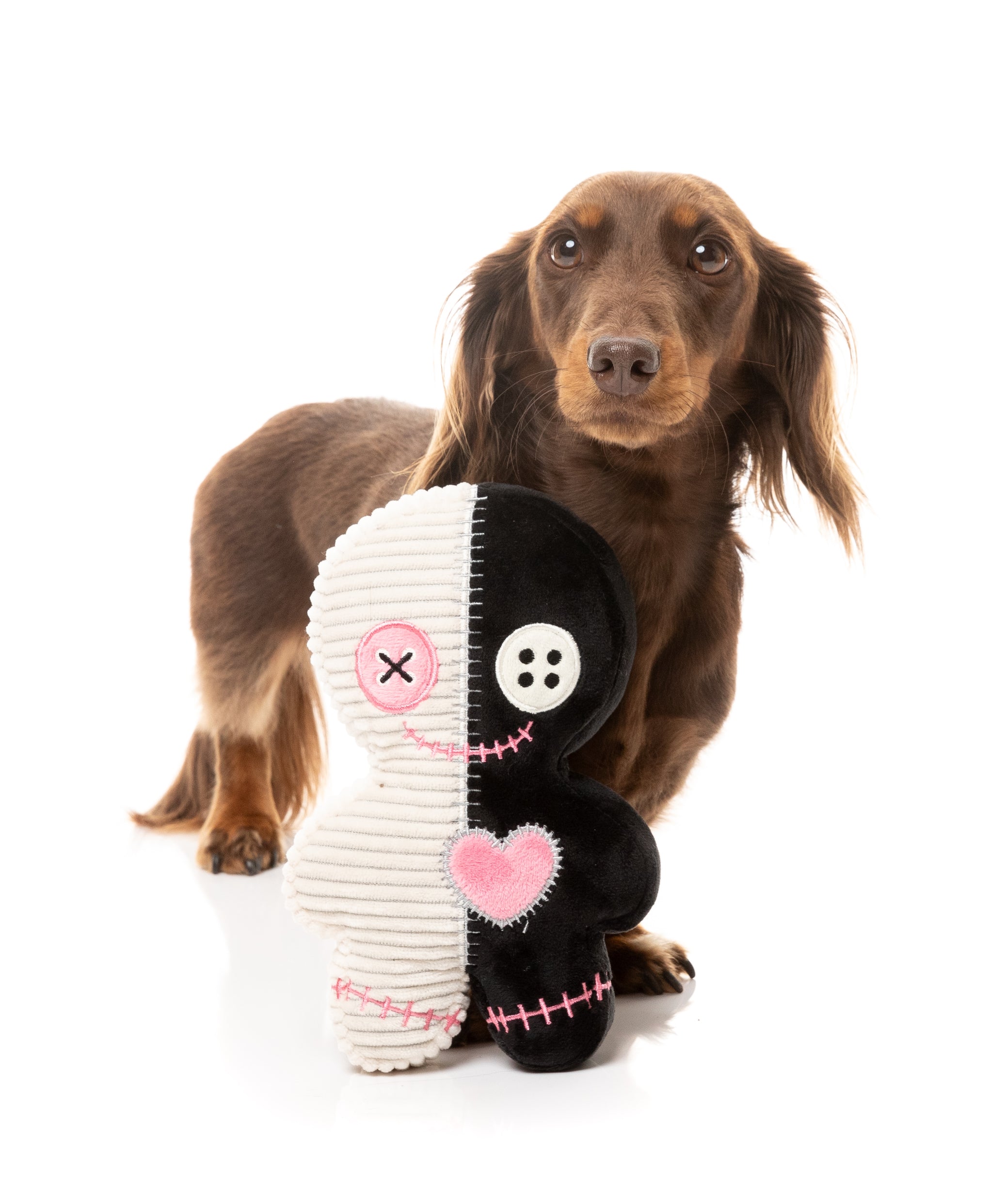 FuzzYard Jinxed Dog Toy