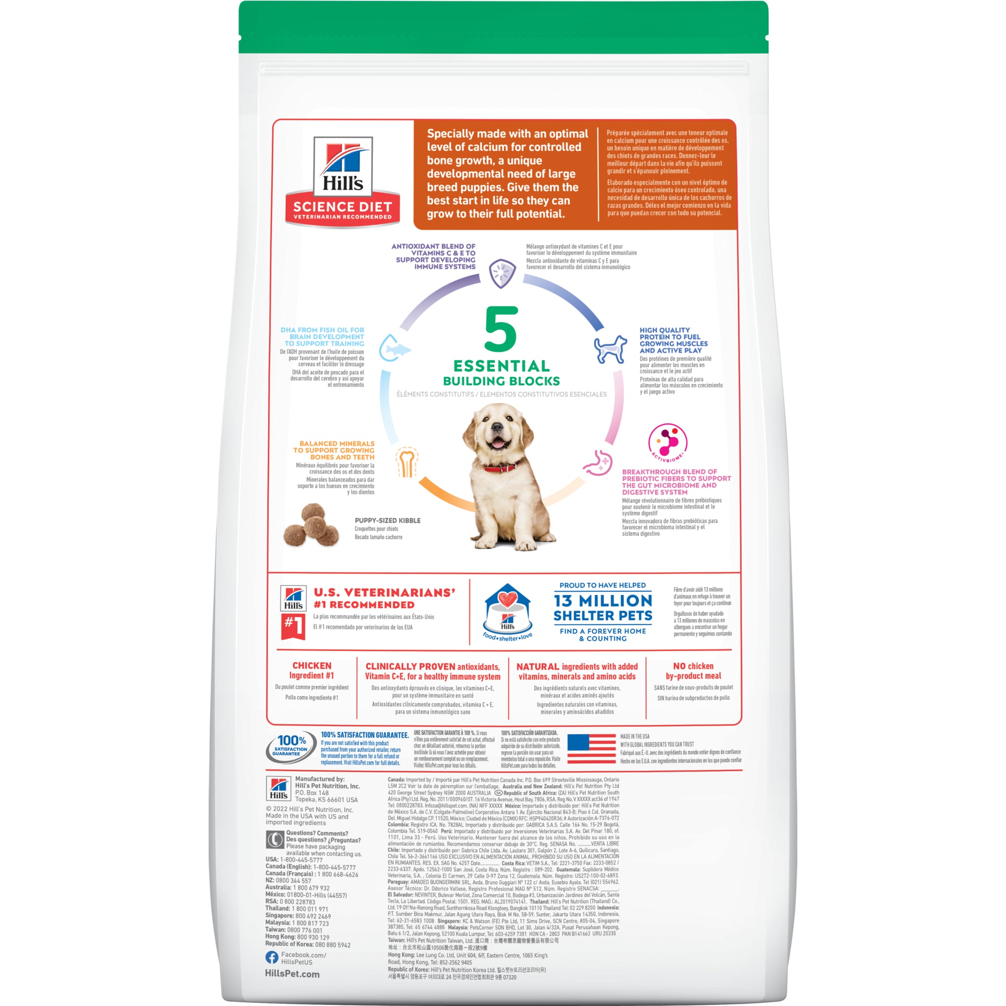 Hill's Science Diet Puppy Large Breed Dry Dog Food