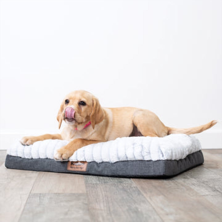 Kazoo dog bed hotsell