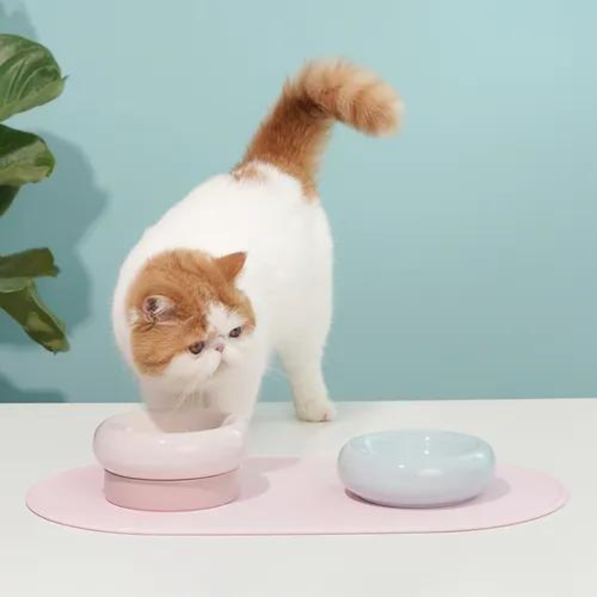 Makesure Dual Layer Ceramic Pet Bowl Pink