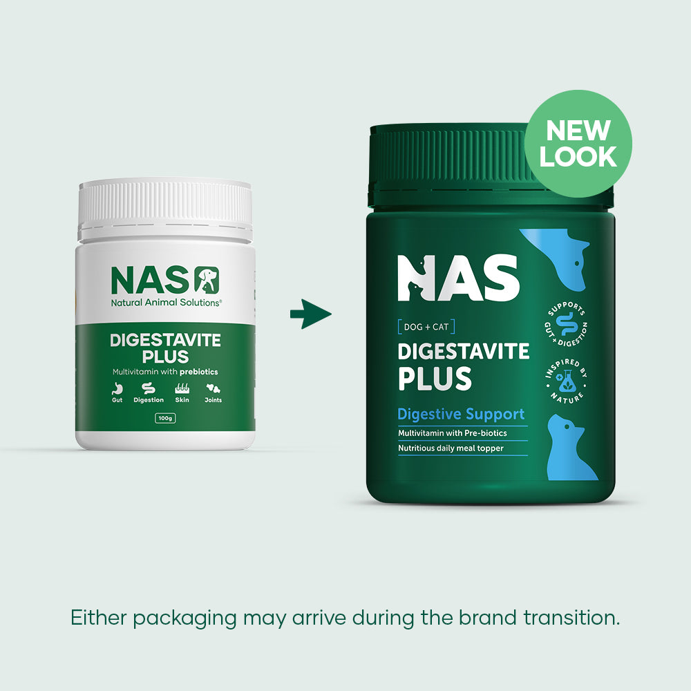 Natural Animal Solutions Digestavite Plus 100g