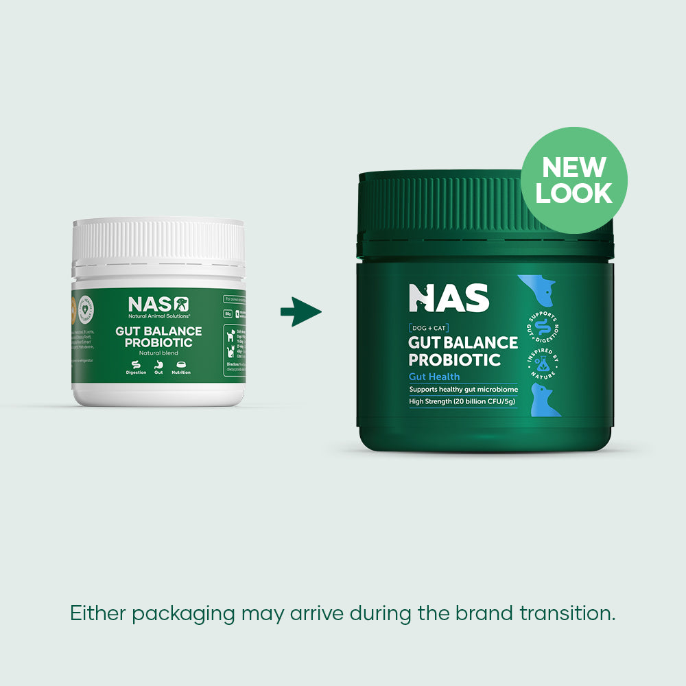 Natural Animal Solutions Gut Balance ProBiotic Natural Blend for Dogs and Cats