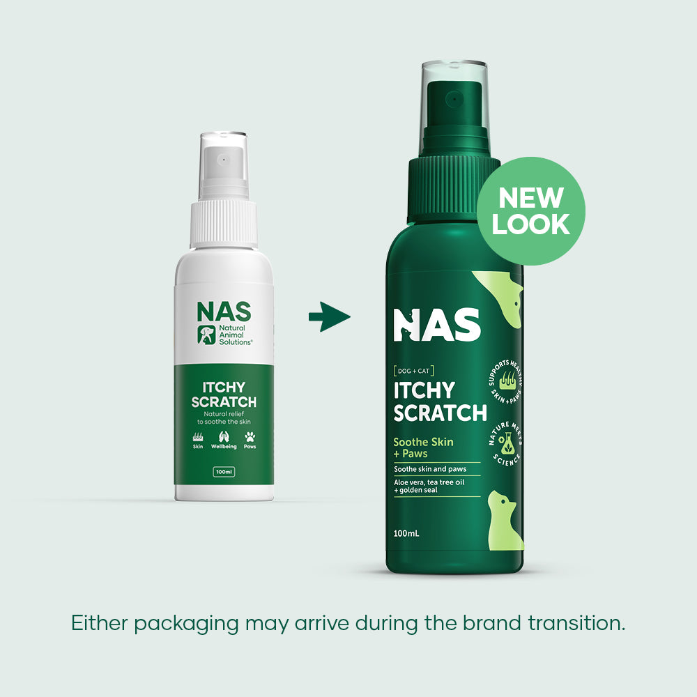 Natural Animal Solutions Itchyscratch 100ml