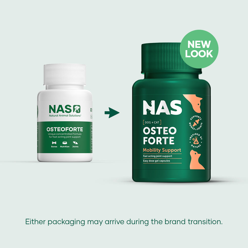 Natural Animal Solutions Osteoforte 60 Pack
