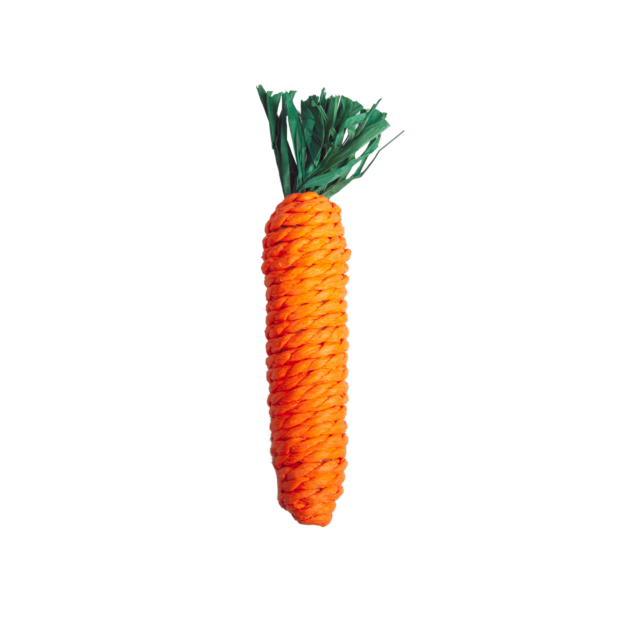 Pet One Small Animal Veggie Rope Chew Carrot Medium