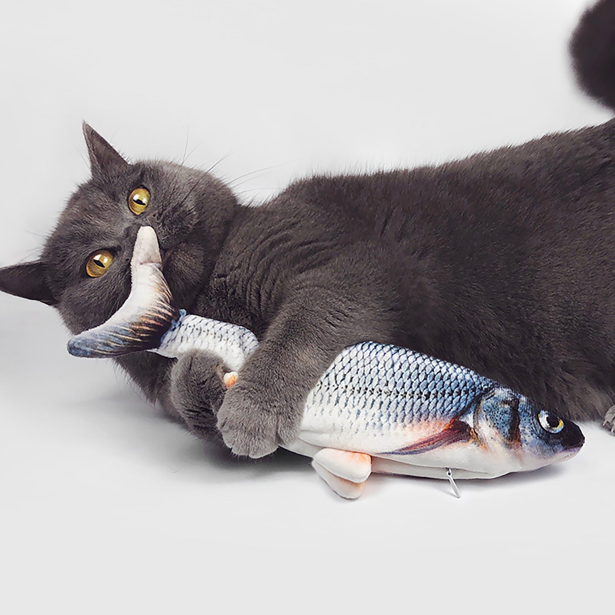 Fish cat toy best sale