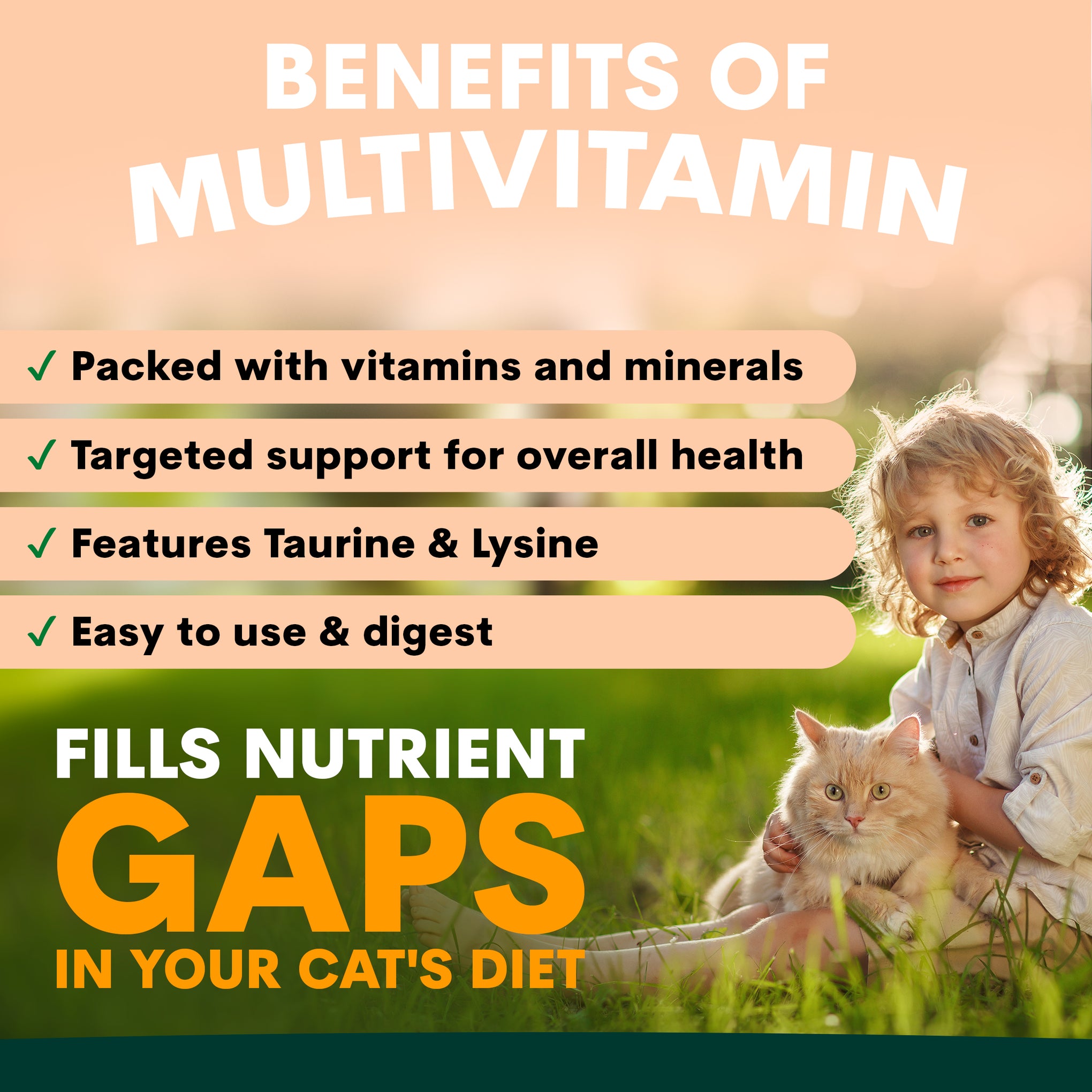 Petz Park Multivitamin for Cats 78g