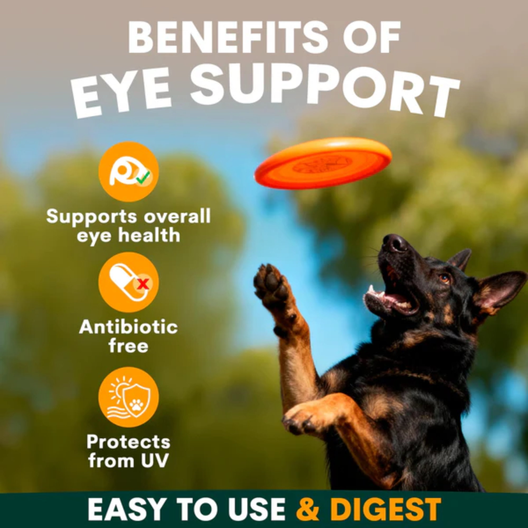 Petz Park Vision Support for Dogs 90g