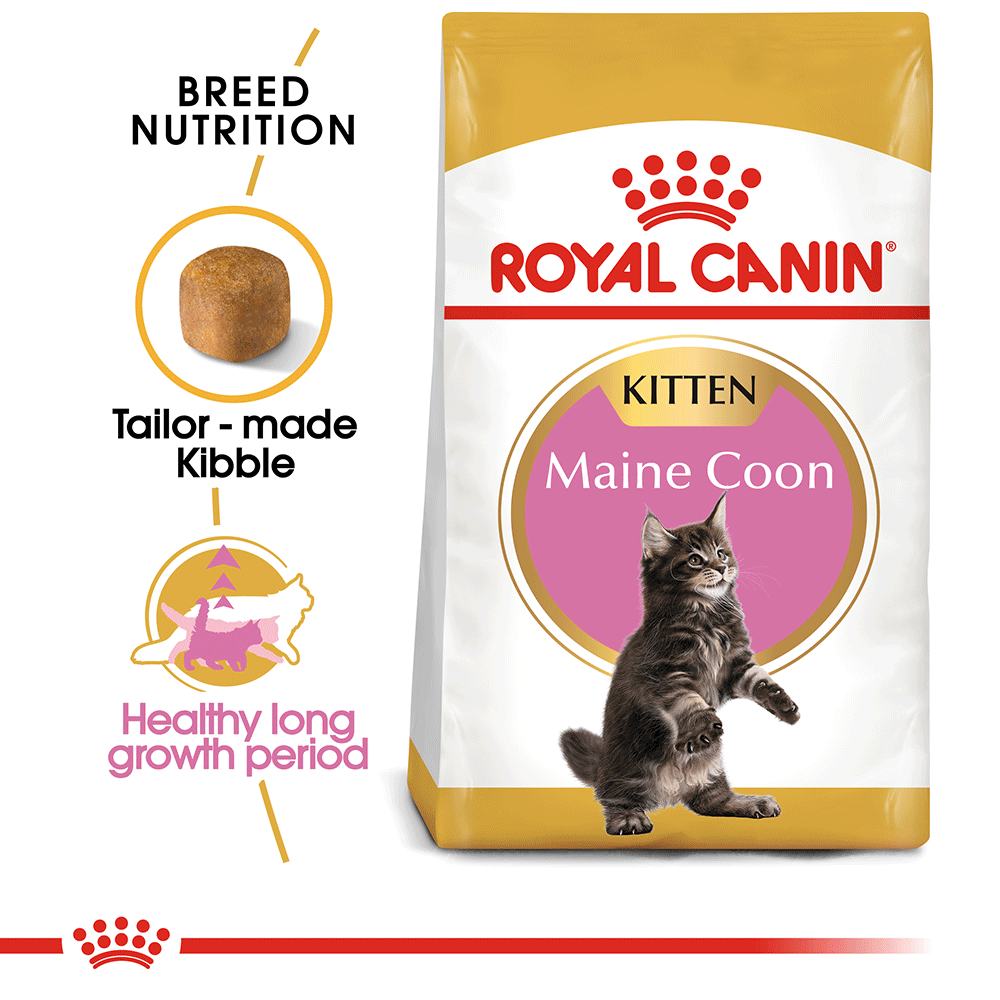 Royal Canin Cat Maine Coon Kitten Dry Food