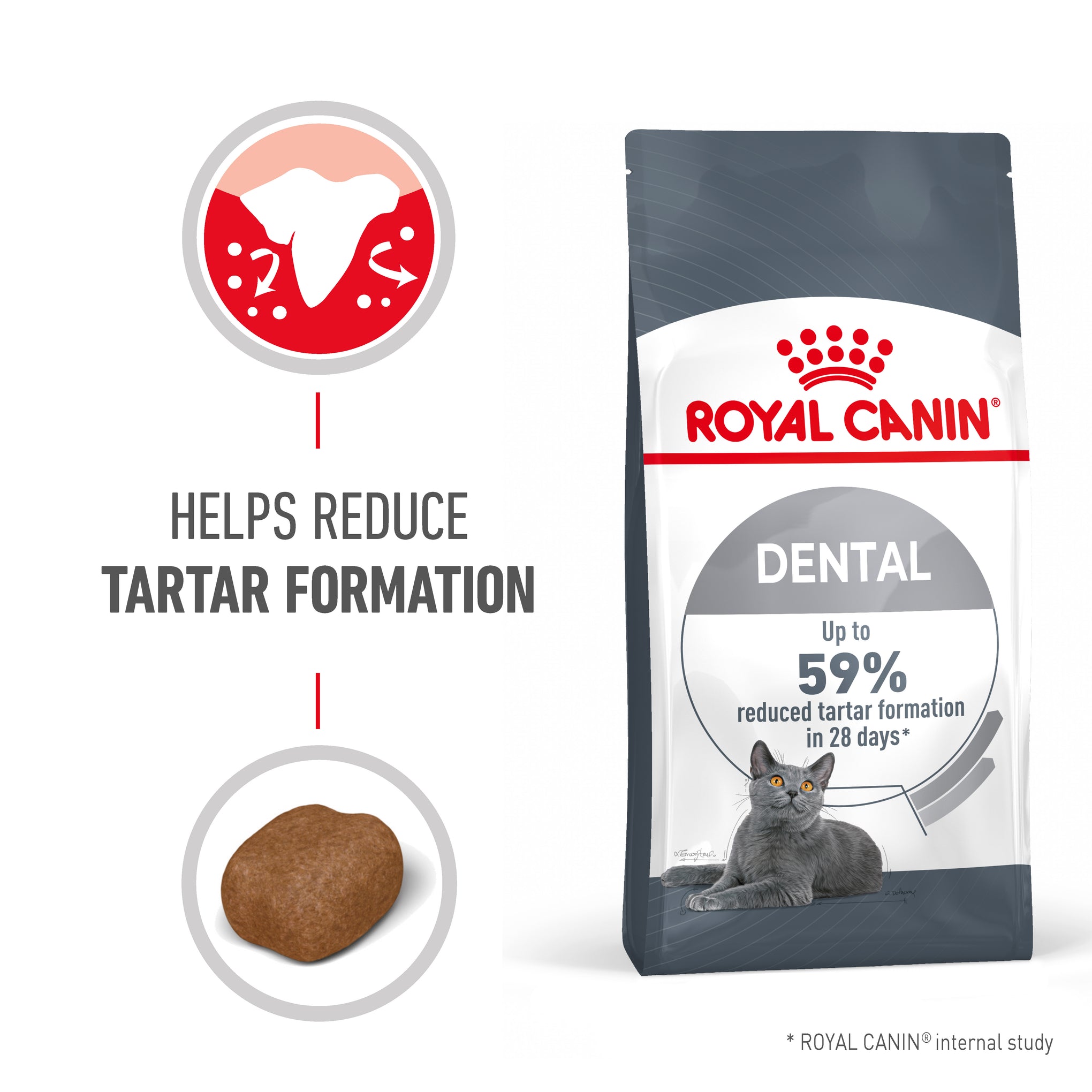 Royal Canin Dental Care Adult Dry Cat Food