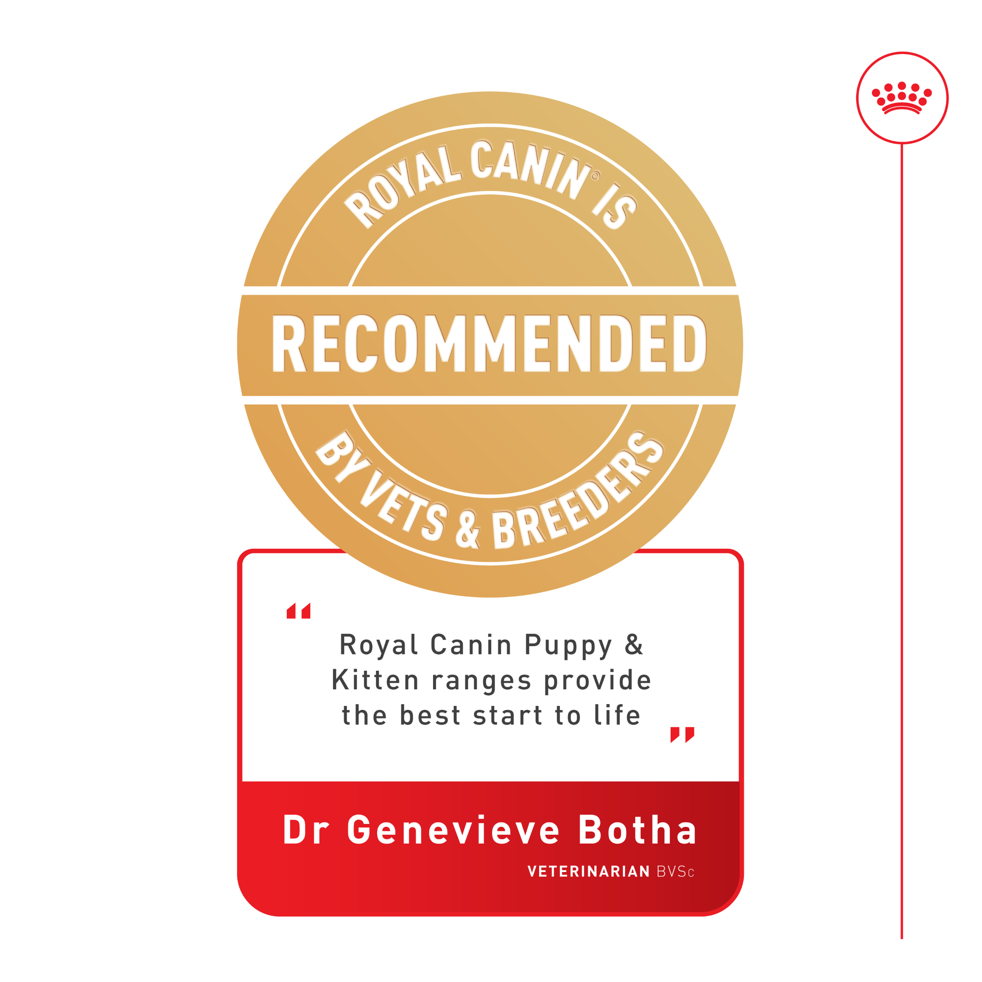 Royal Canin Medium Puppy Wet Dog Food Pouches 140g x 10