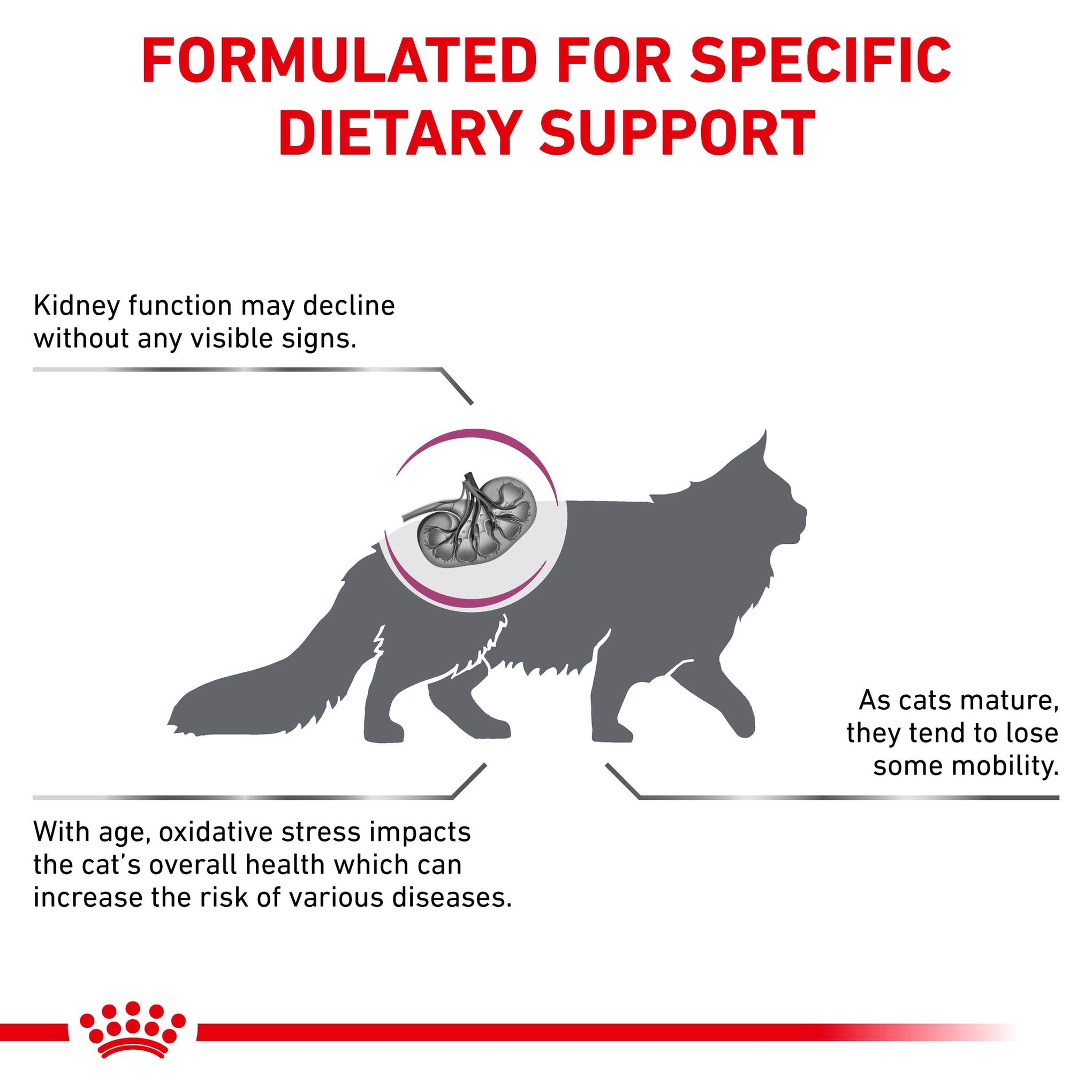 Royal Canin Veterinary Diet Early Renal Adult Dry Cat Food