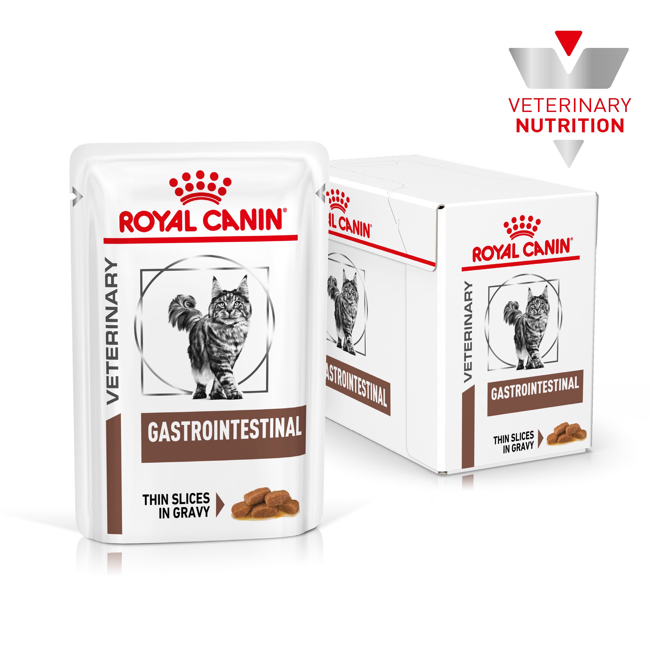 Gastrointestinal royal canin cat food hotsell