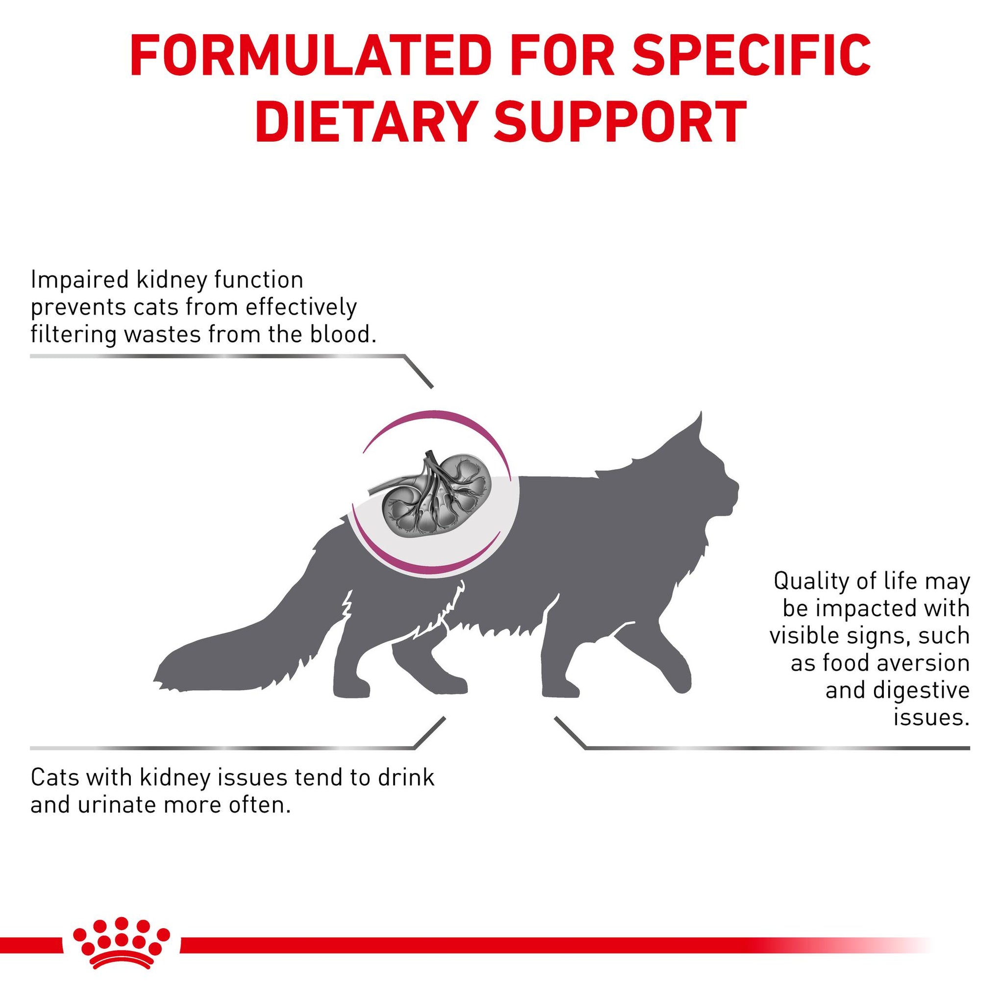 Royal Canin Veterinary Diet Renal Adult Dry Cat Food