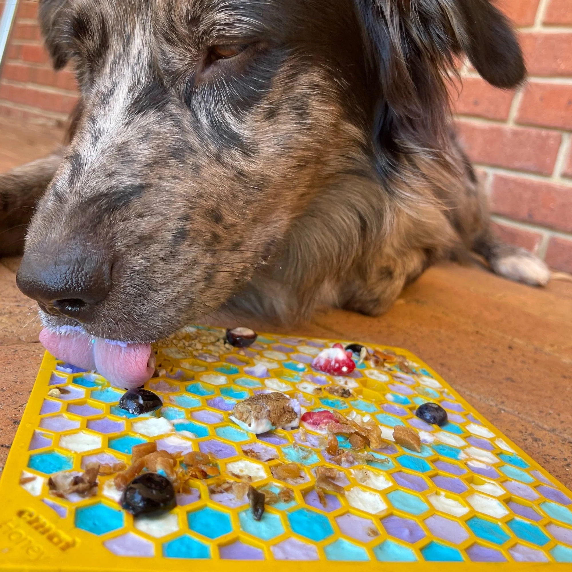 SodaPup Honeycomb eMat Dog Lick Mat Yellow
