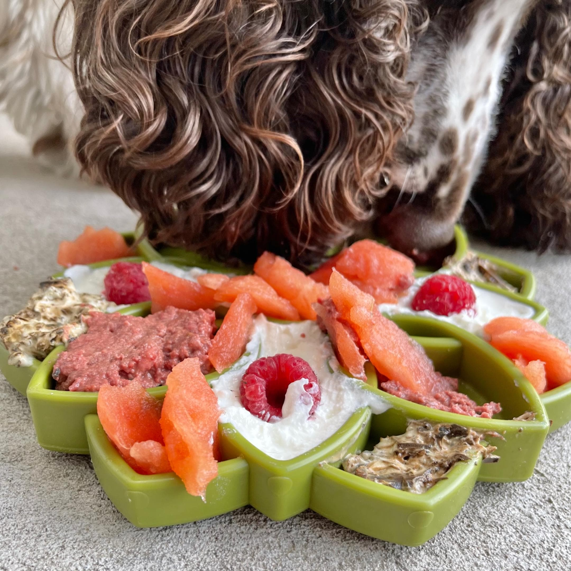 SodaPup Mandala eTray Dog Slow Feeder Green
