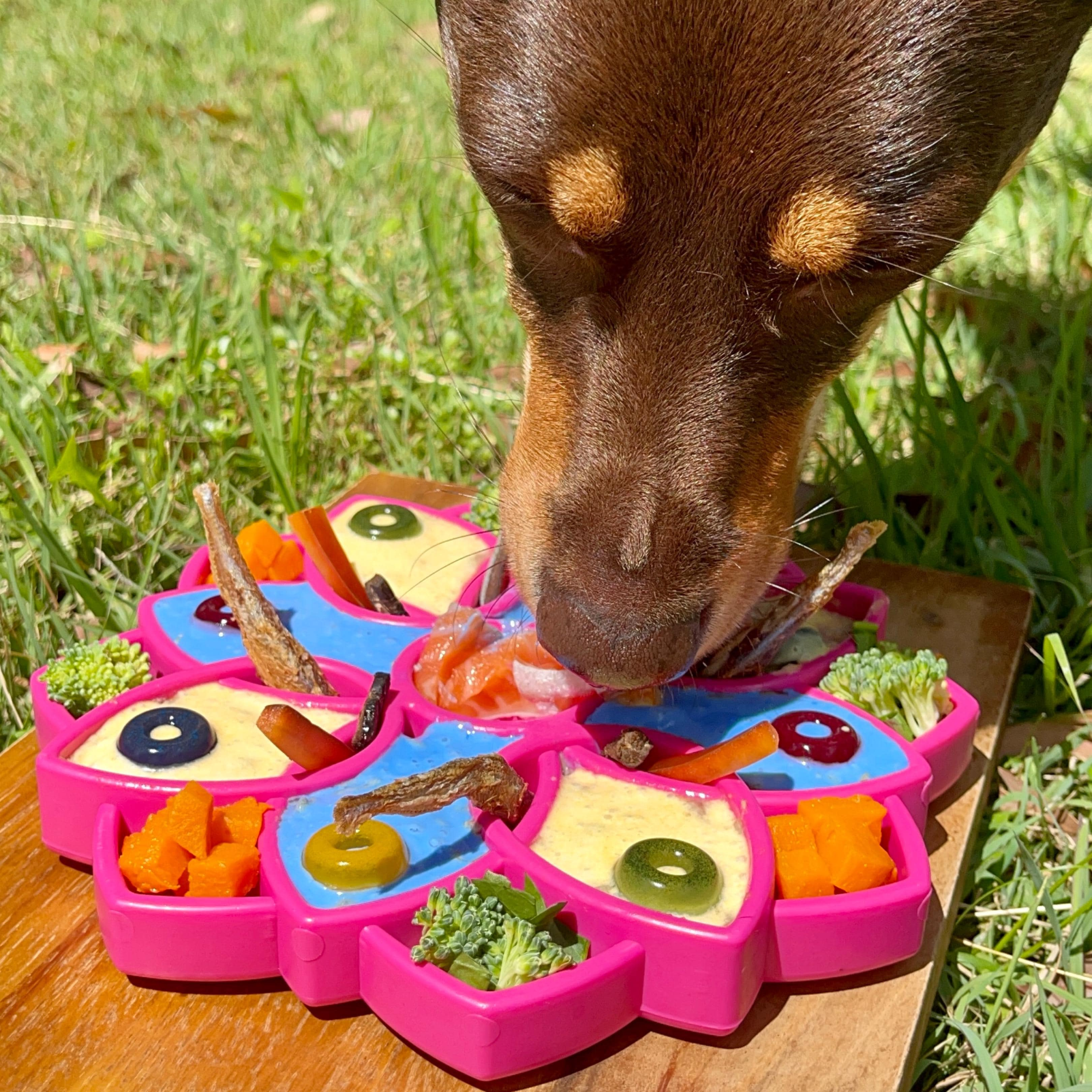 SodaPup Mandala eTray Dog Slow Feeder Pink