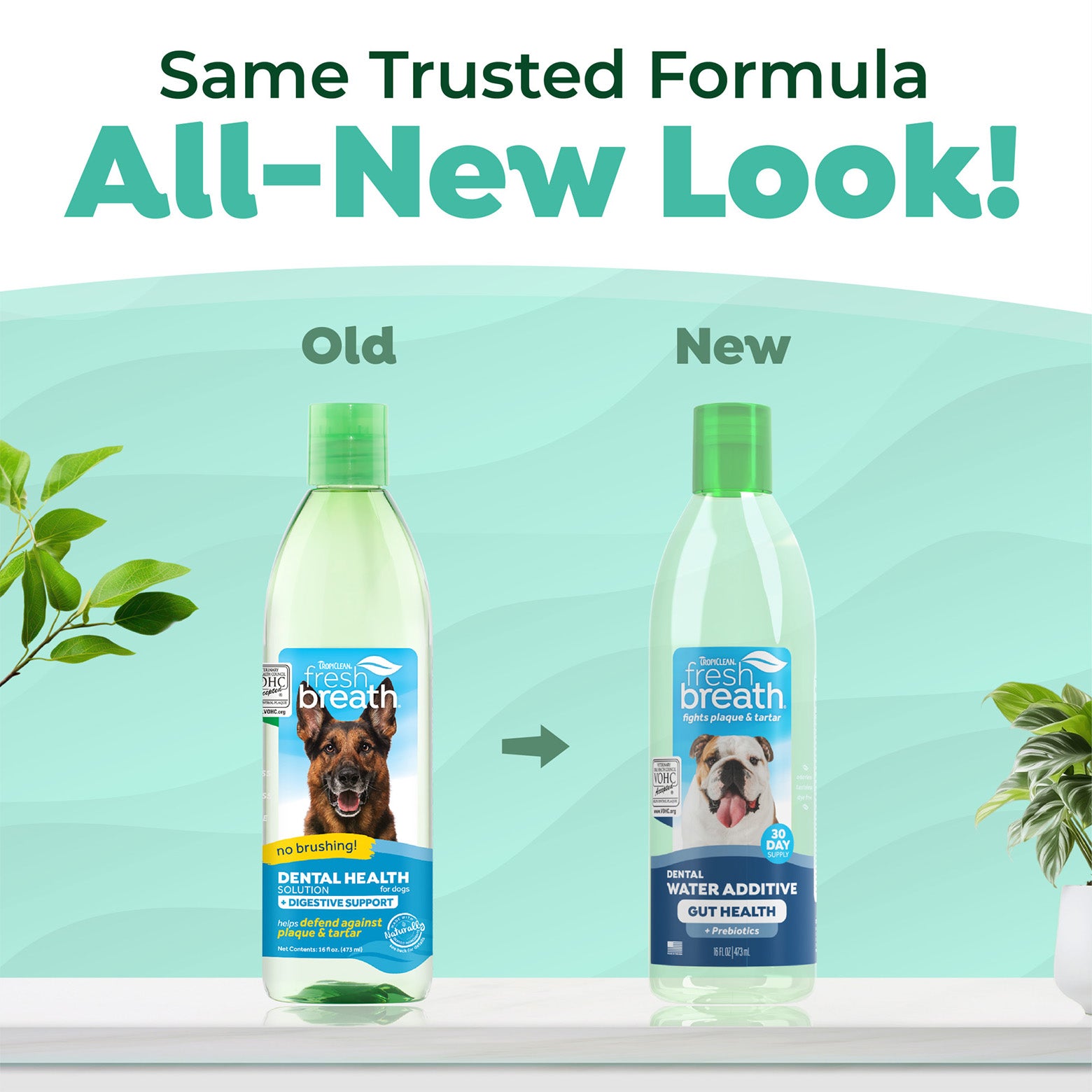 TropiClean Fresh Breath Dental Water Additive Plus Gut Health 473ml