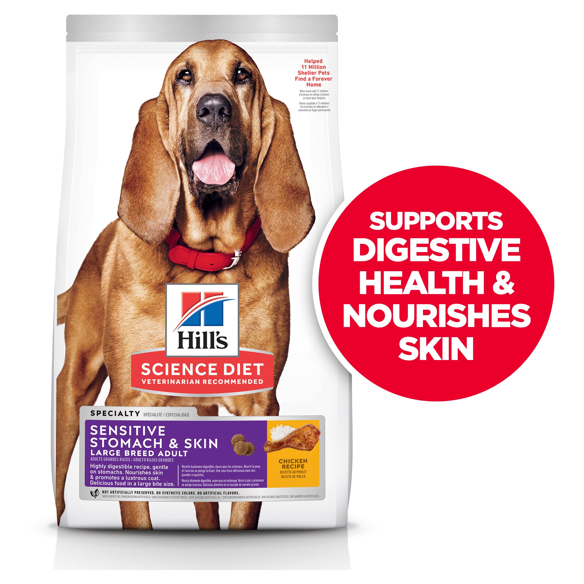 Best dog food for large breed puppy with sensitive stomach best sale