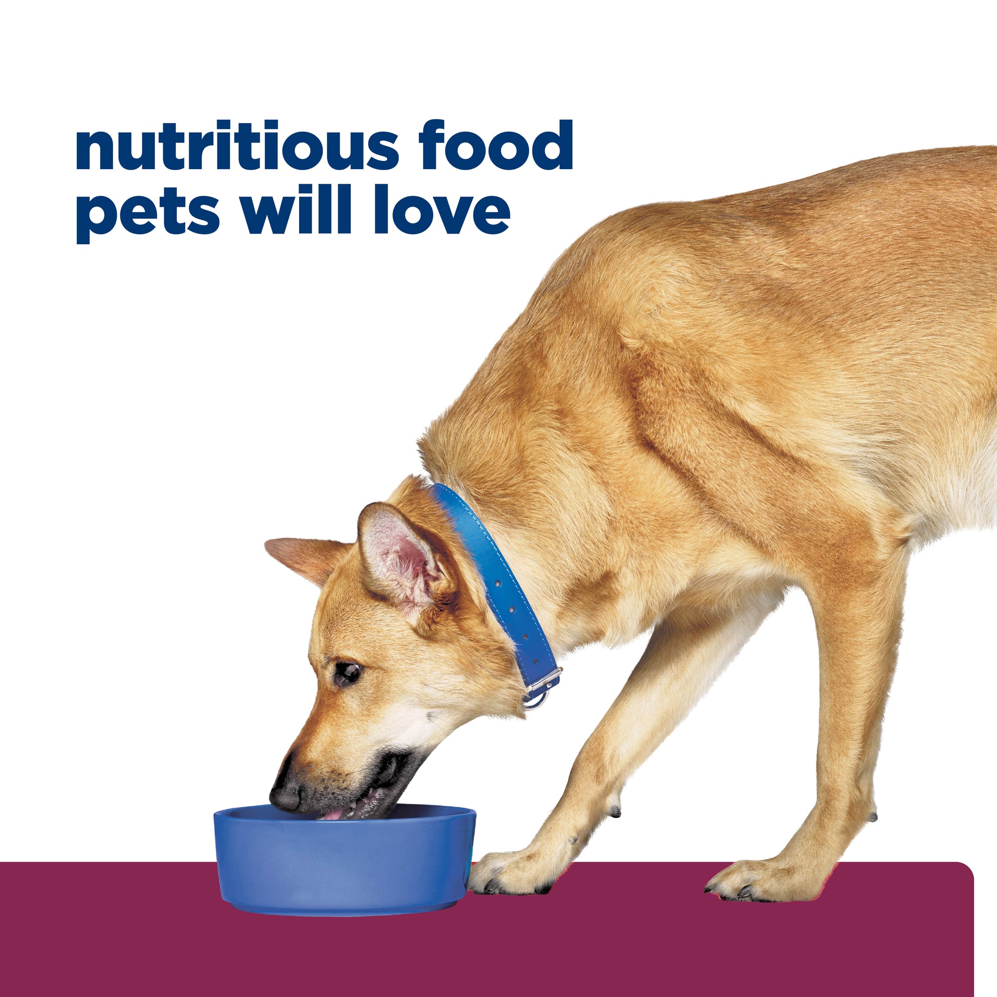 Hill's Prescription Diet i/d Digestive Care Chicken & Vegetable Stew Canned Dog Food 156g x 24