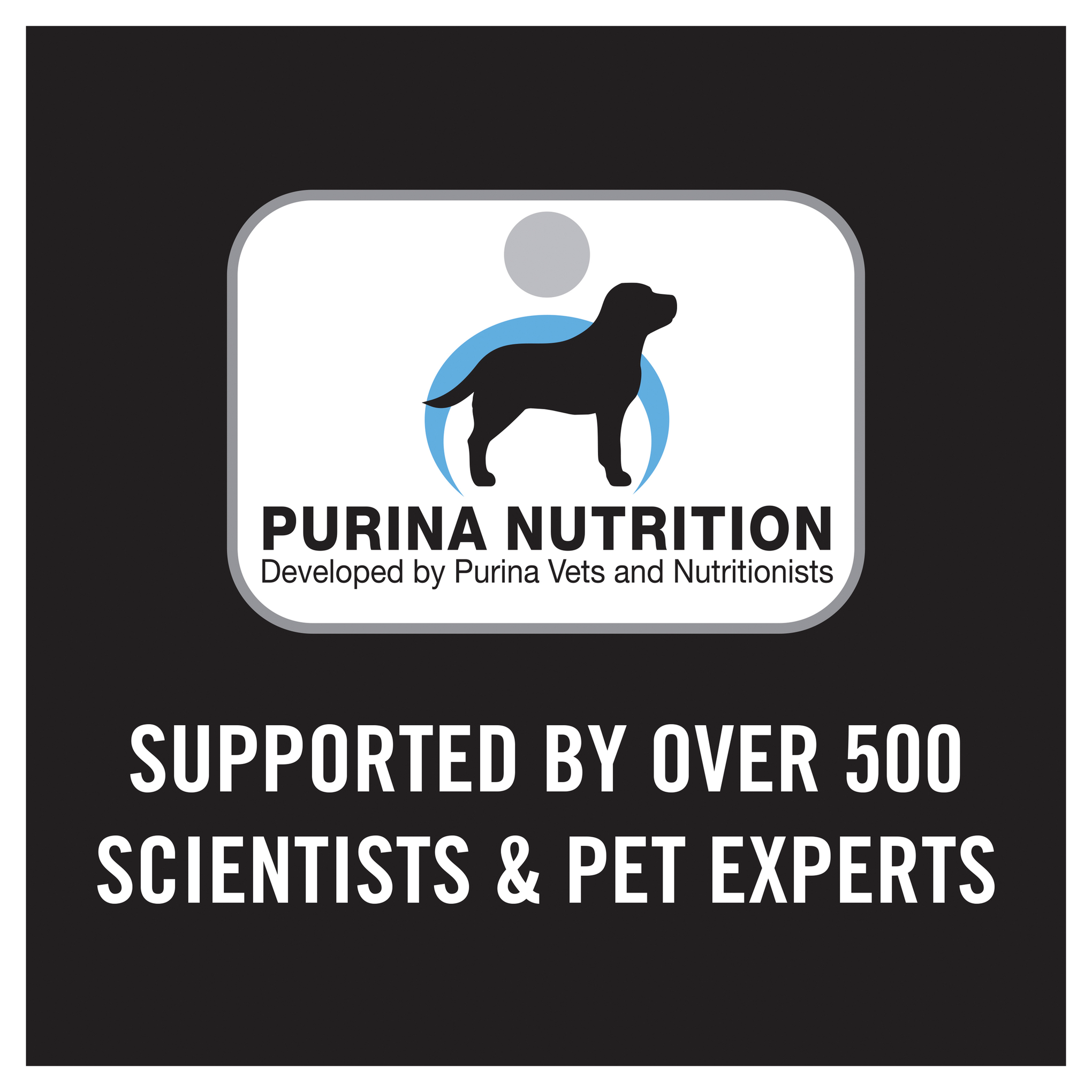 Pro Plan Adult Sensitive Skin & Stomach Small & Toy Breed Dry Dog Food
