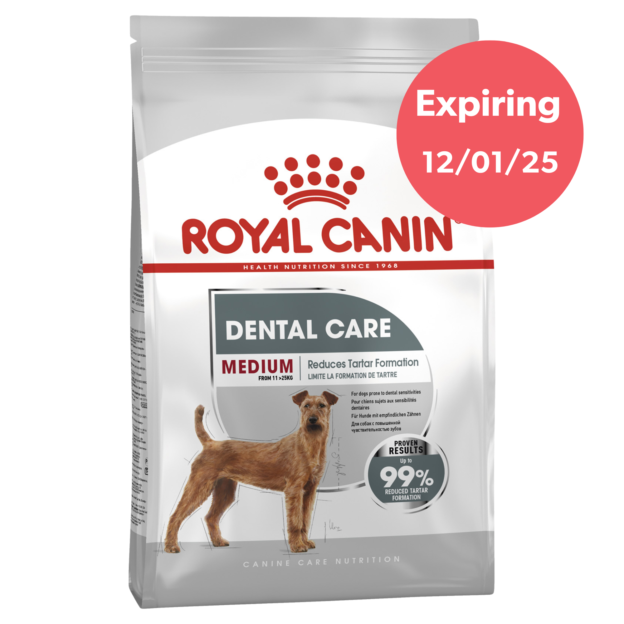 Royal Canin Medium Dental Health Care Adult Dry Dog Food 10kg