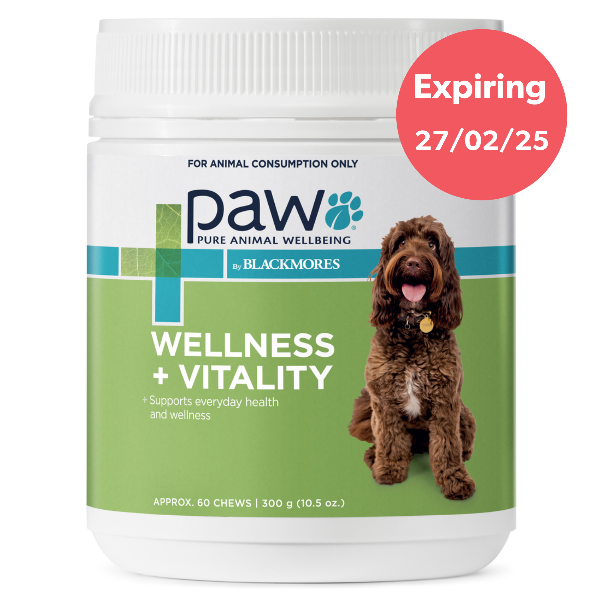 PAW By Blackmores Dog Supplement Wellness & Vitality Chews 300g