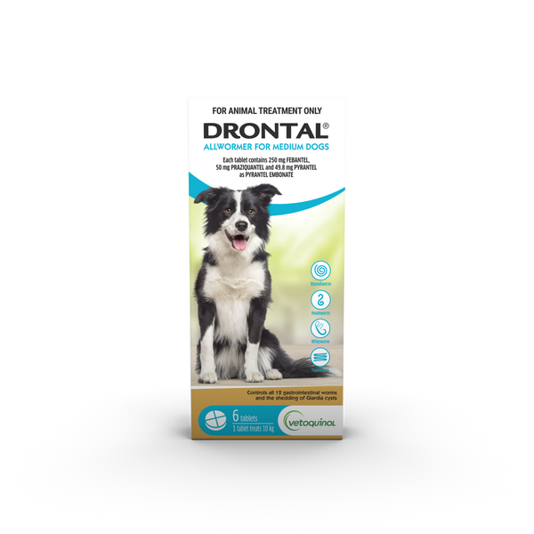 Drontal All Wormer Medium Dog Tablets 10kg 6 Pack
