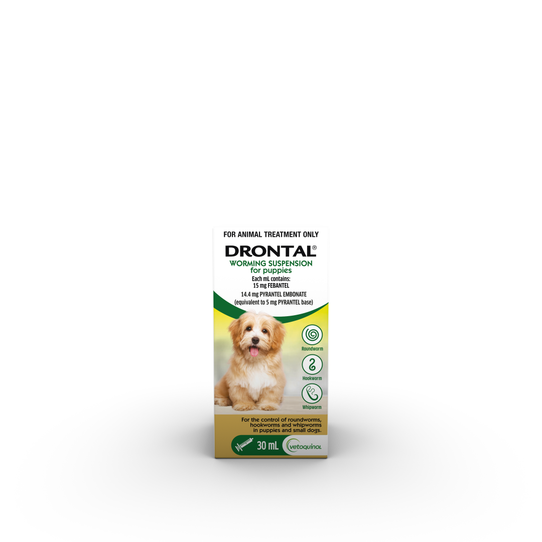 Drontal Worming Suspension Puppies 30ml