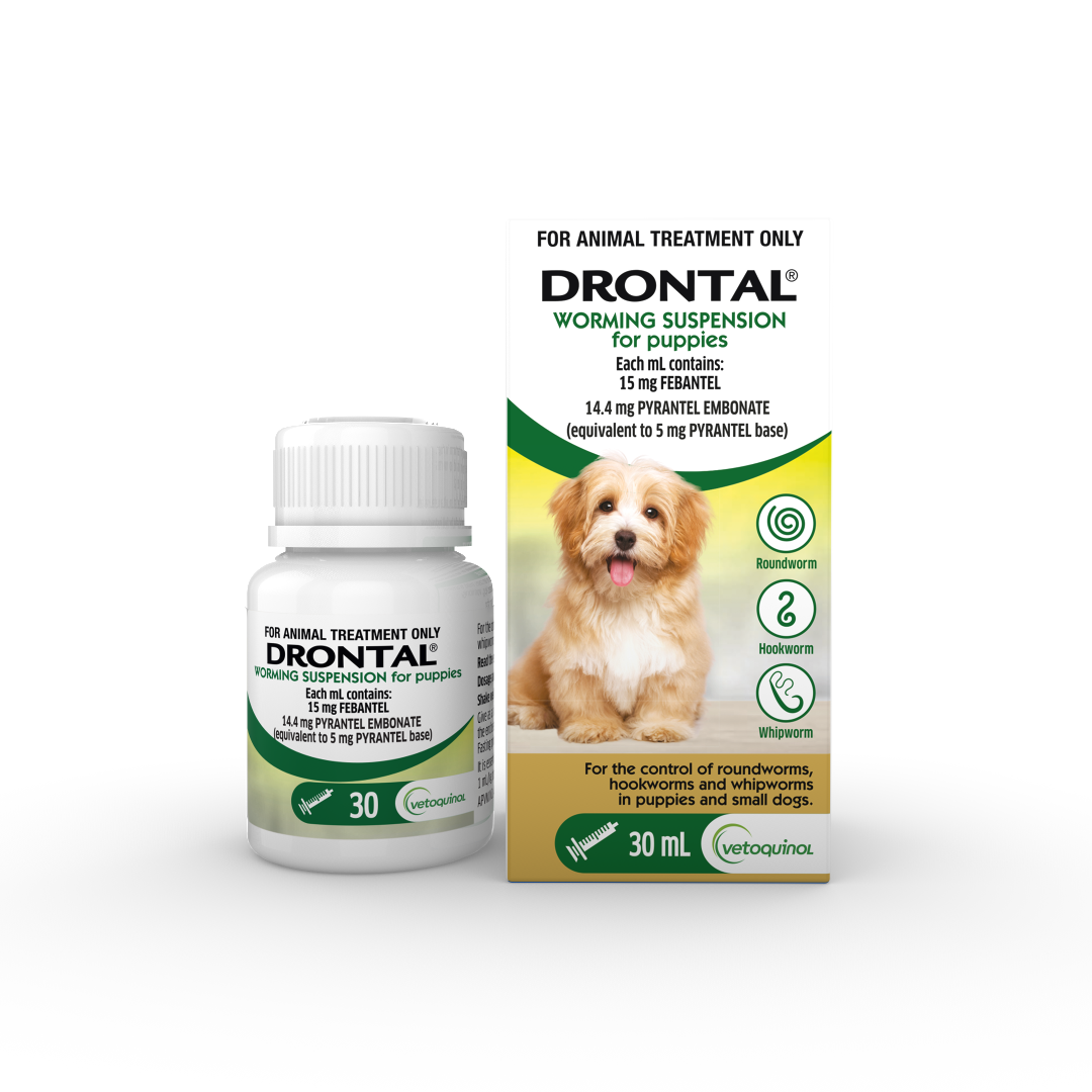 Drontal Worming Suspension Puppies 30ml