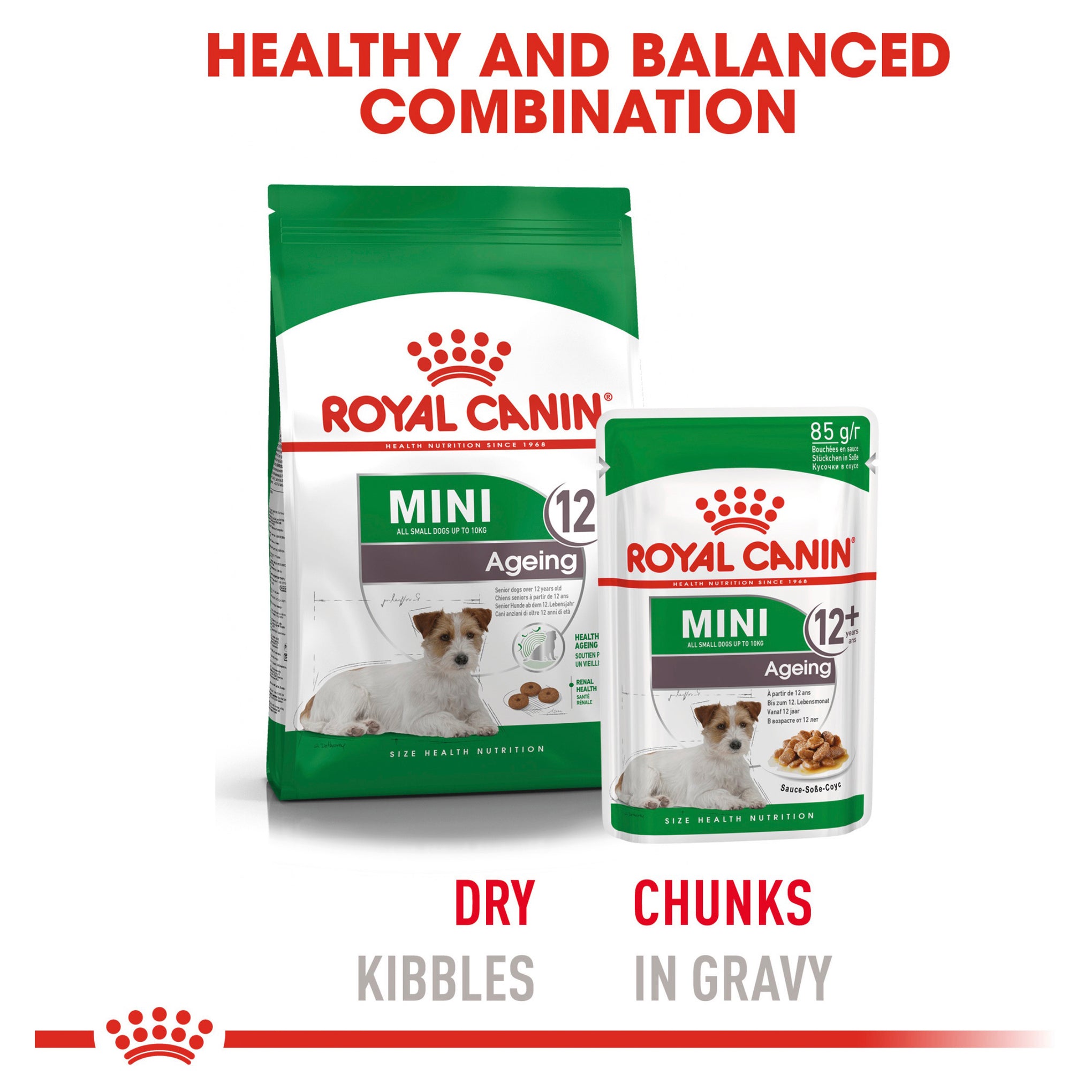 Royal Canin Mini Ageing 12+ Dry Dog Food 1.5kg