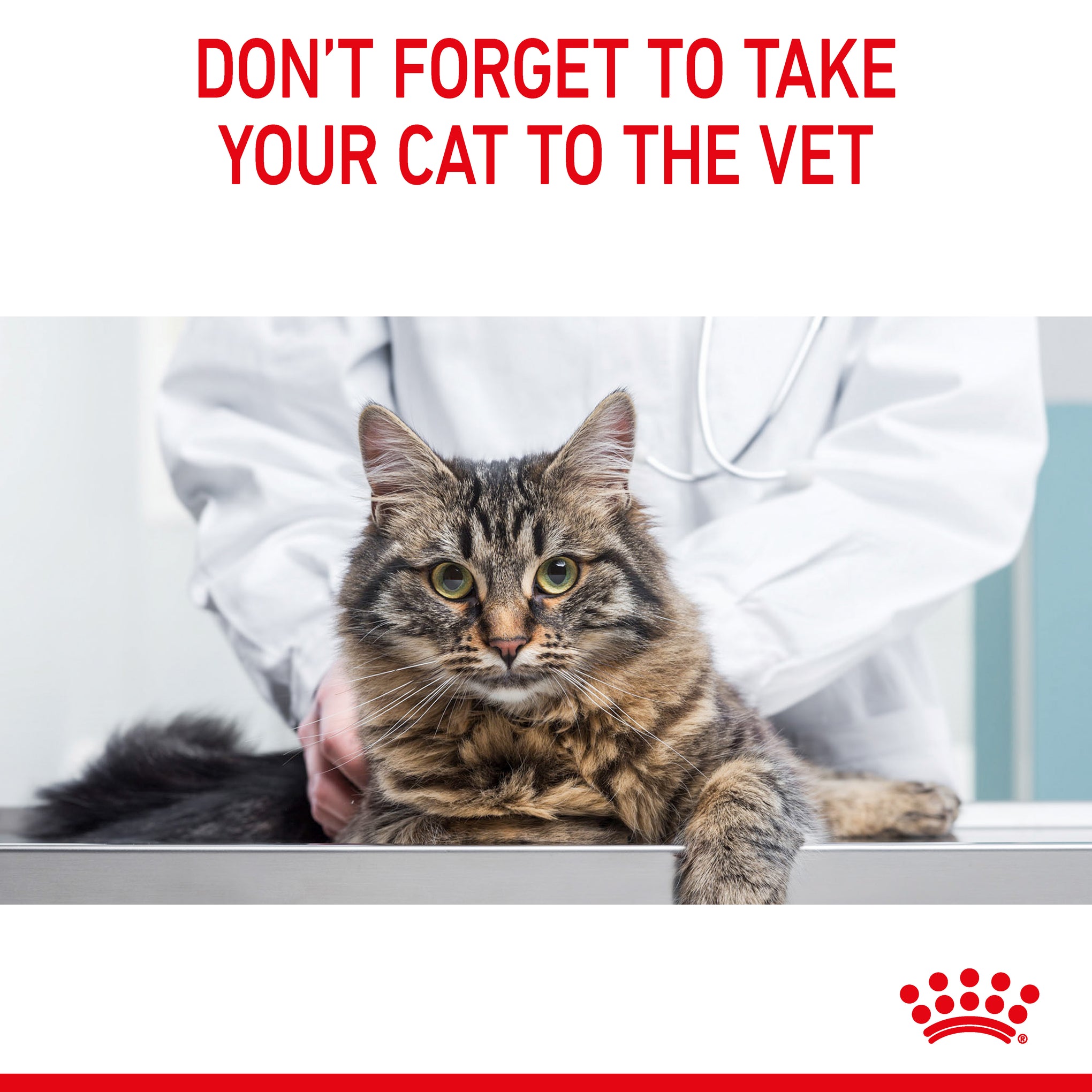 Royal Canin Urinary Care Adult Dry Cat Food