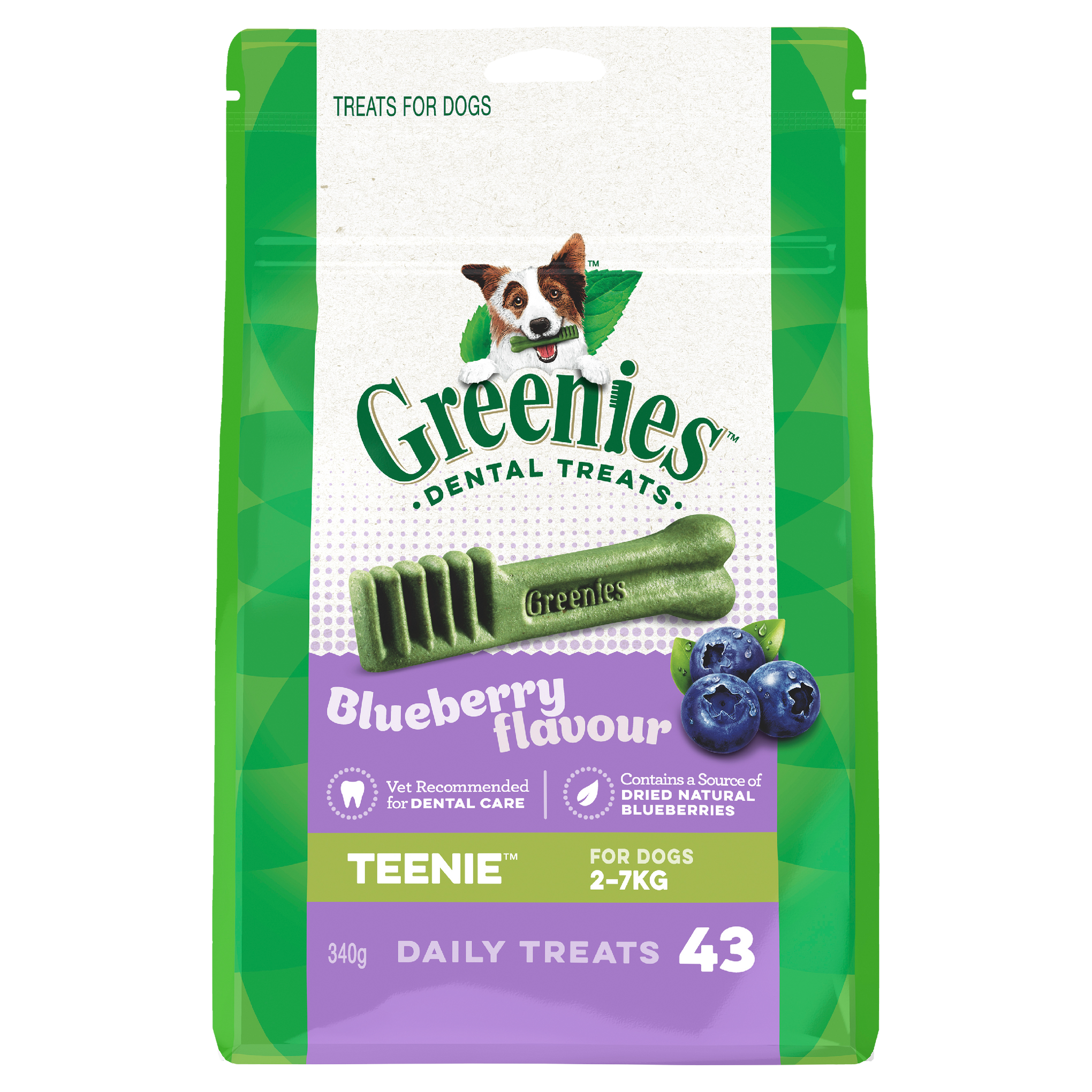 Greenies Dog Blueberry Dental Health Treats for Teenie Dogs 340g