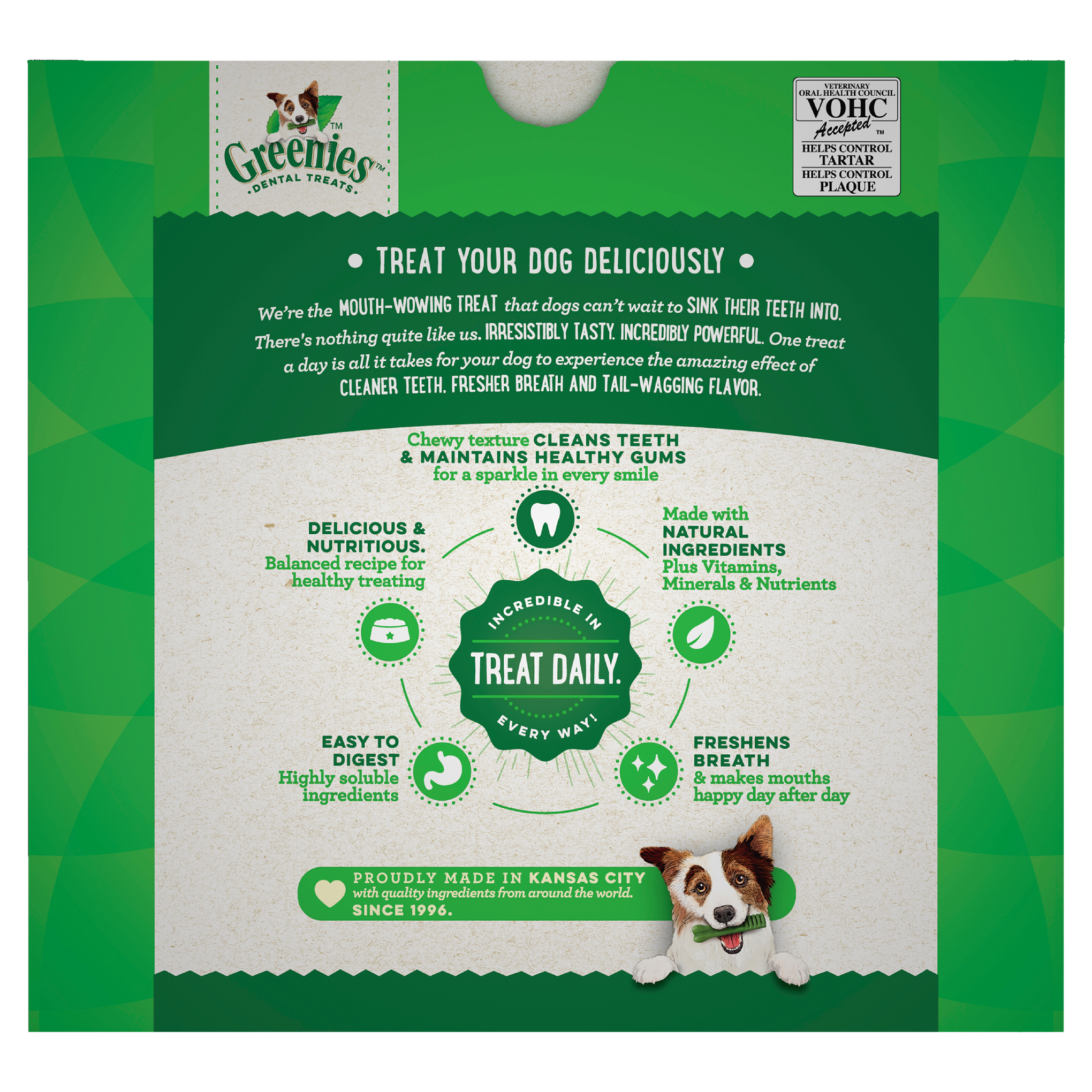 Greenies Dog Original Dental Health Treats for Petite Dogs