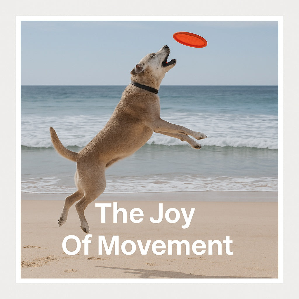 Cartiflex Joint Mobility Support Capsules for Dogs 300mg 56 Pack