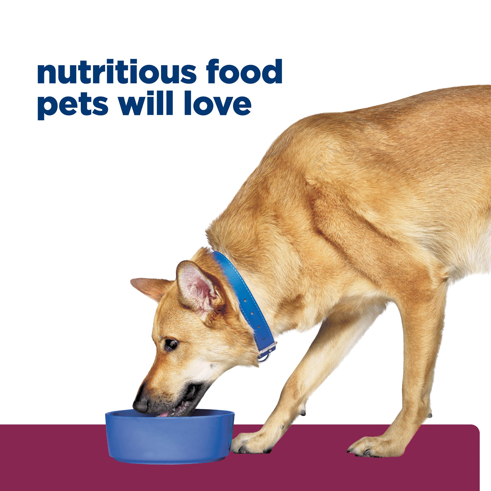 Hill's Prescription Diet i/d Digestive Care Dry Dog Food 3.85kg