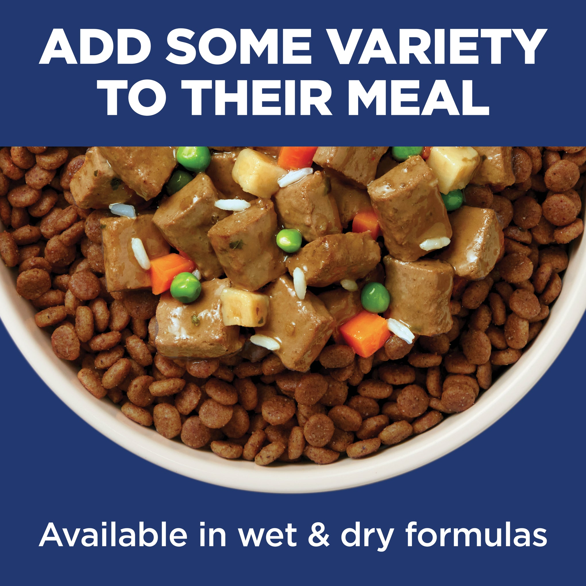 Hill's Science Diet Adult 11+ Senior Small and Mini Senior Dry Dog Food 2.04kg