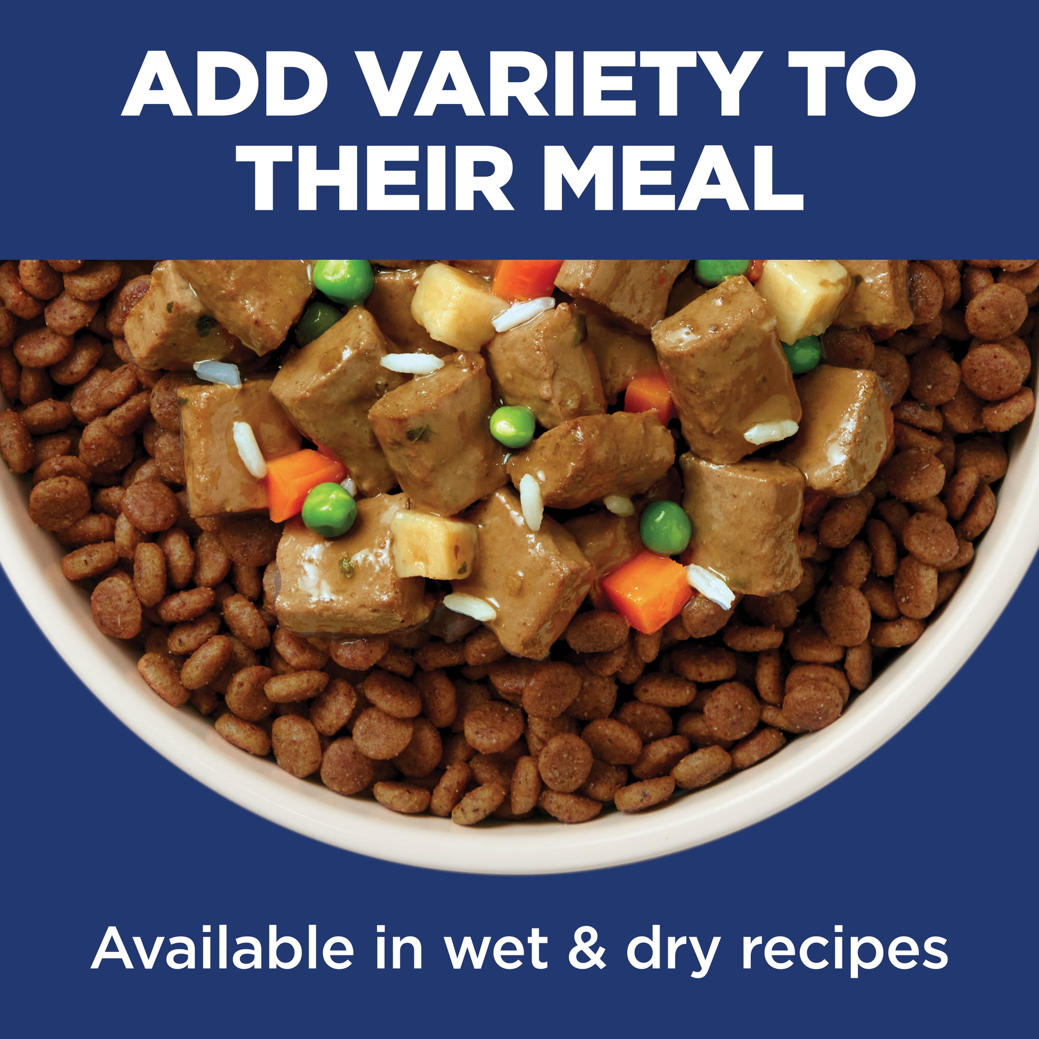 Hill's Science Diet Adult Small and Mini Dry Dog Food