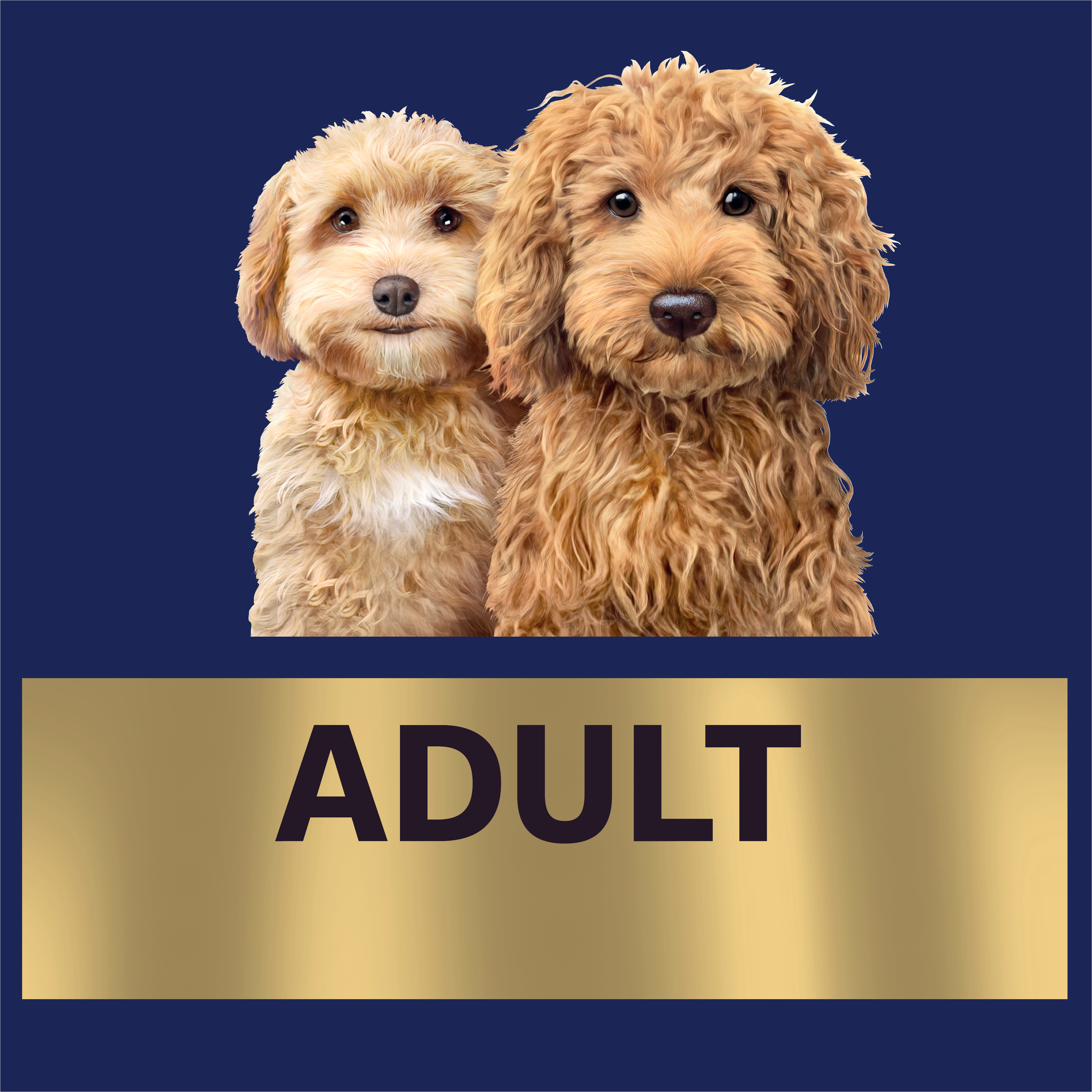 Advance Oodles Small Breed Adult Dry Dog Food