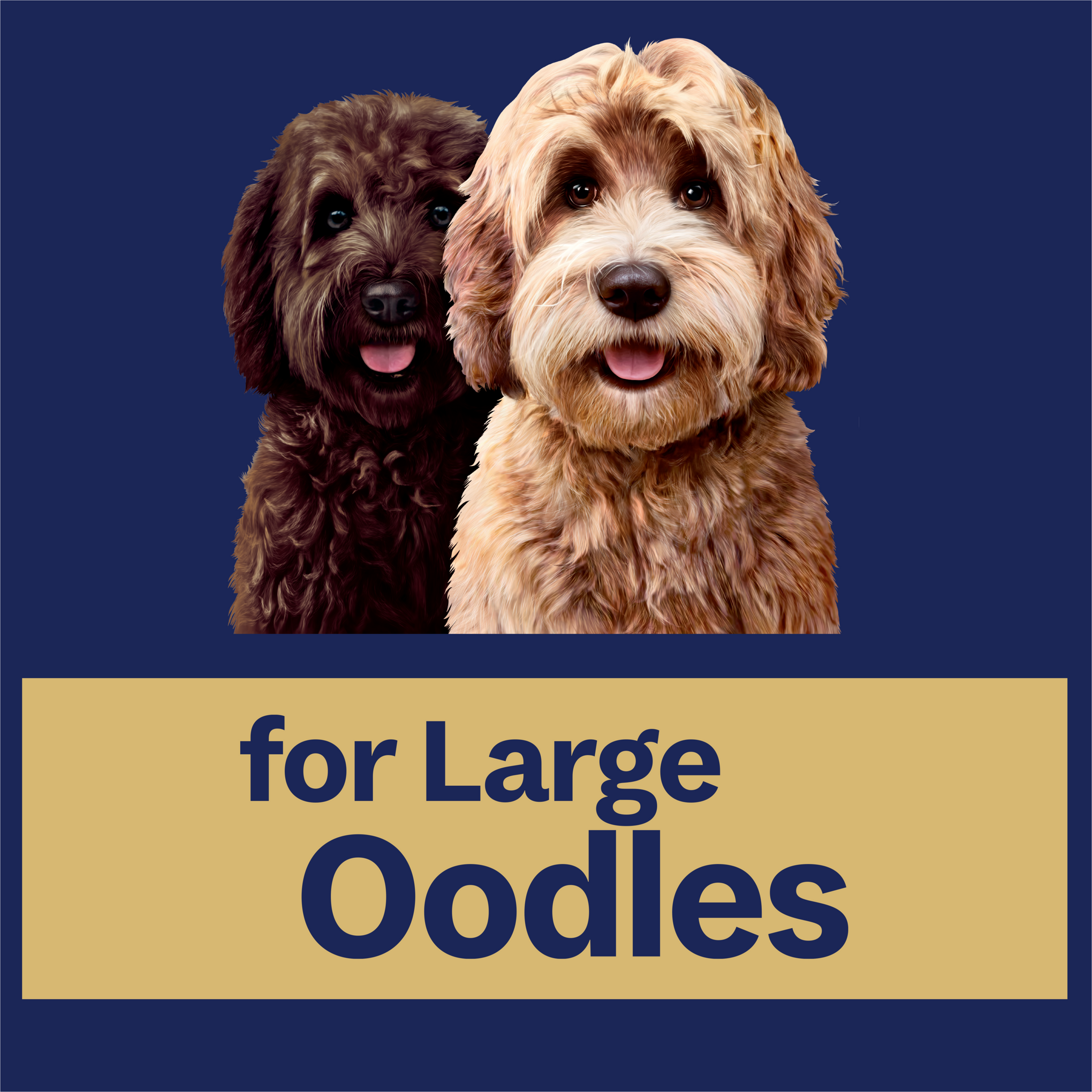 Advance Oodles Large Breed Adult Dry Dog Food 13kg