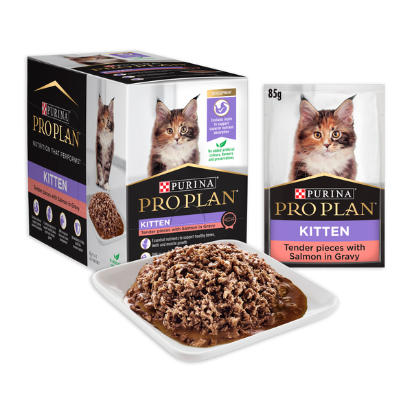 Pro Plan Salmon Wet Kitten Cat Food Pouches 85g x 12