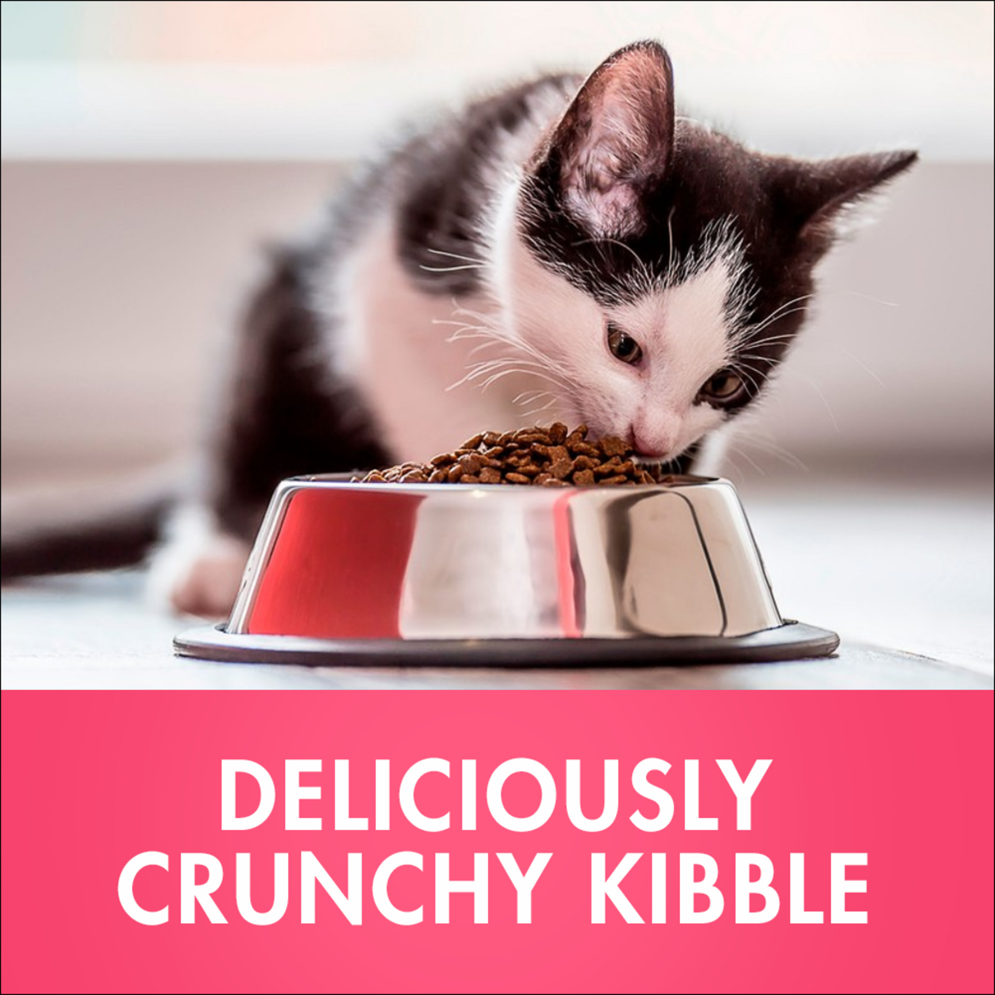Purina ONE Healthy Kitten With Chicken Dry Cat Food 1.4kg