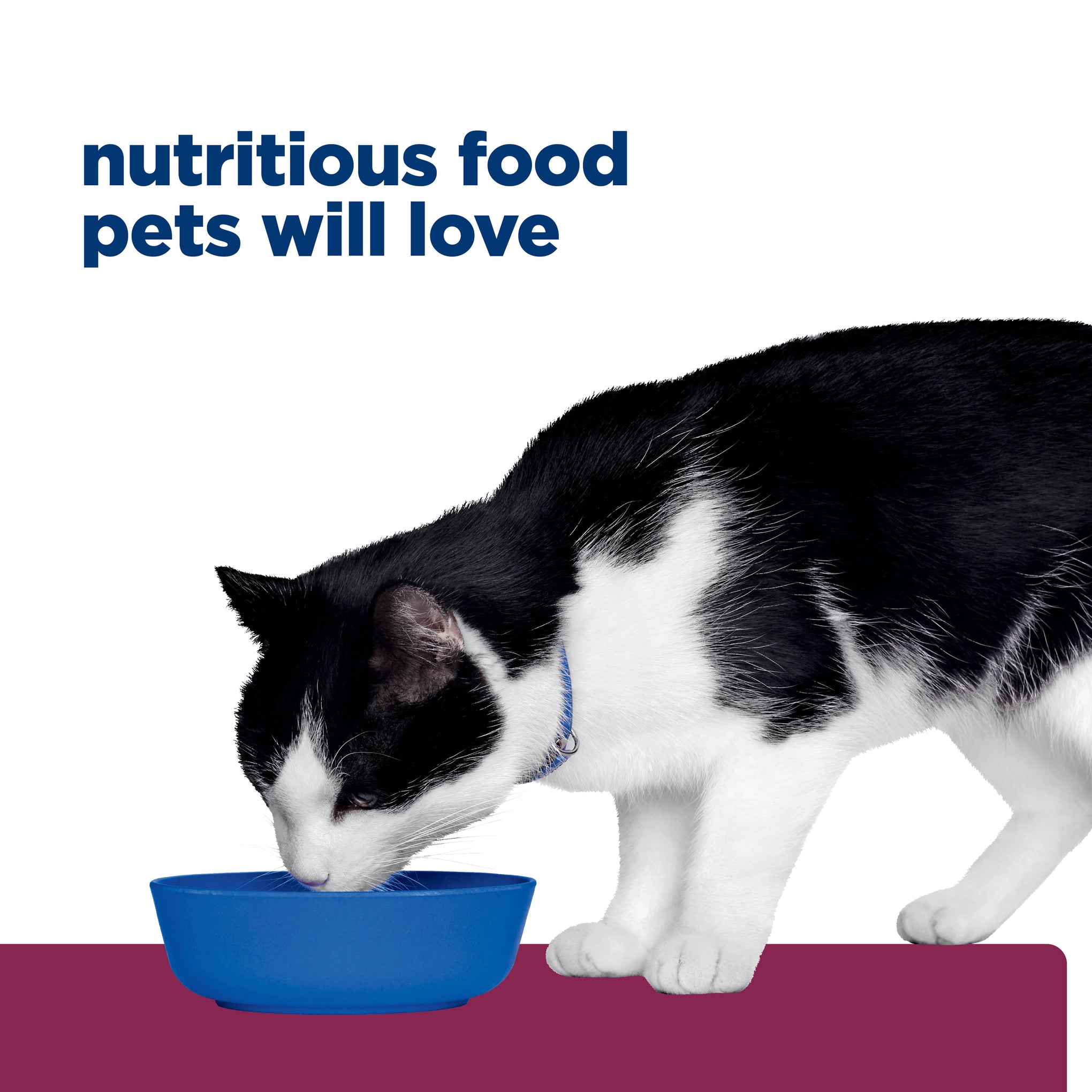 Hill's Prescription Diet i/d Digestive Care Canned Cat Food 156g x 24