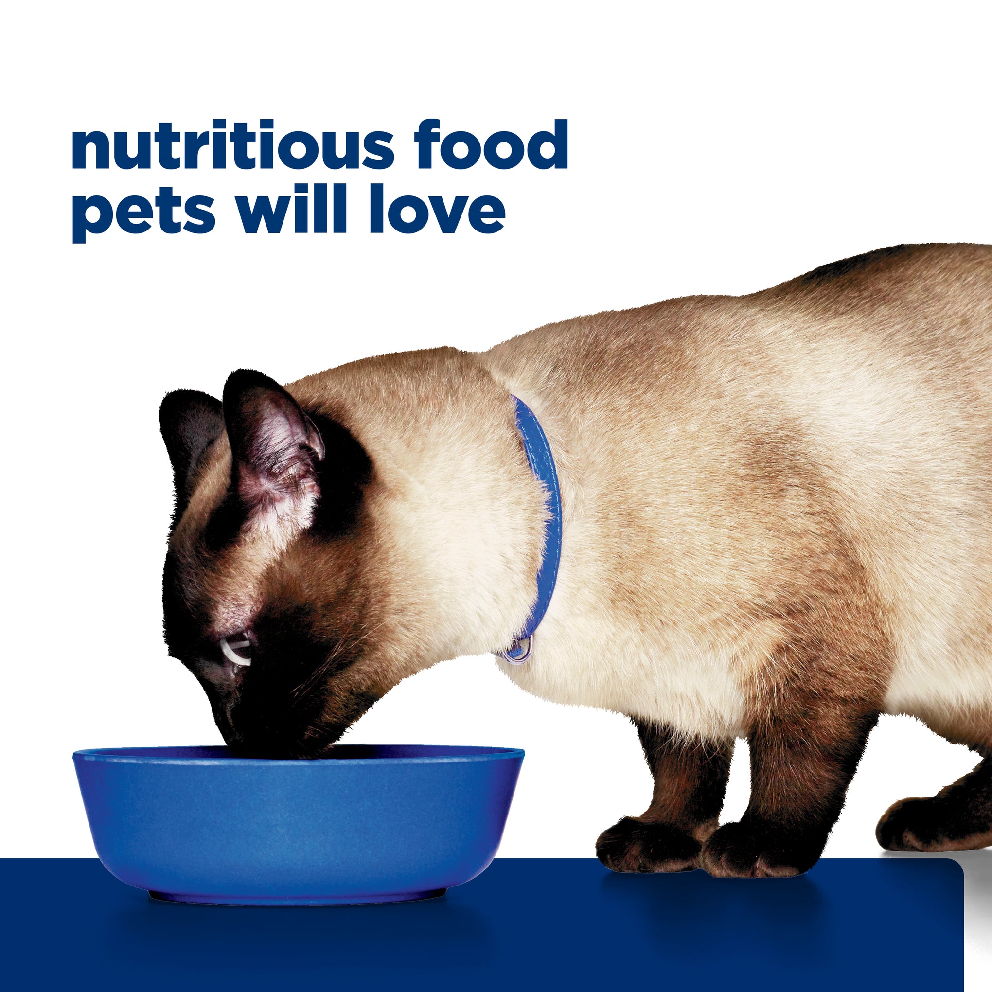 Hill's Prescription Diet z/d Skin/Food Sensitivities Dry Cat Food