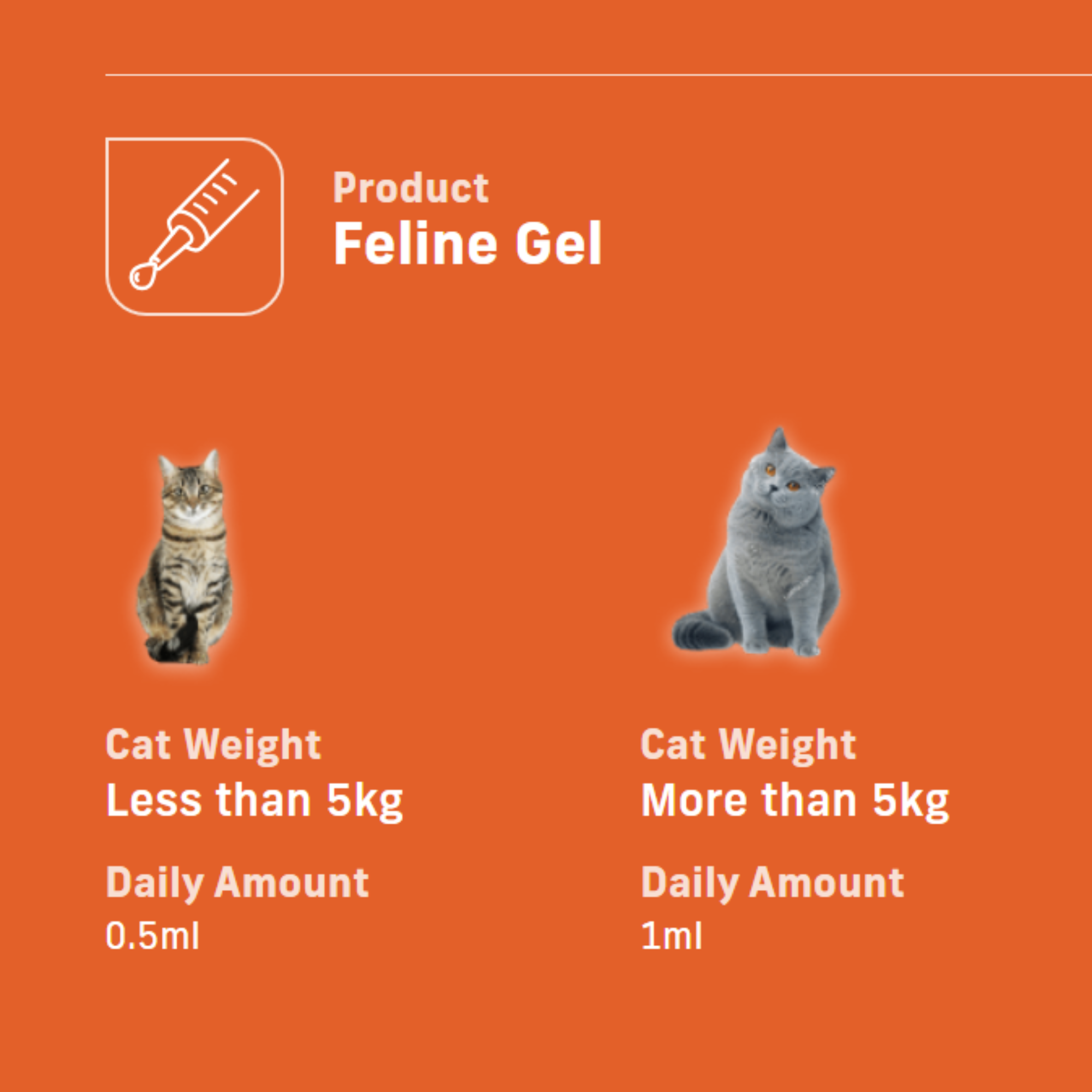 4CYTE Epiitalis Forte Joint Supplement Gel for Cats 50ml