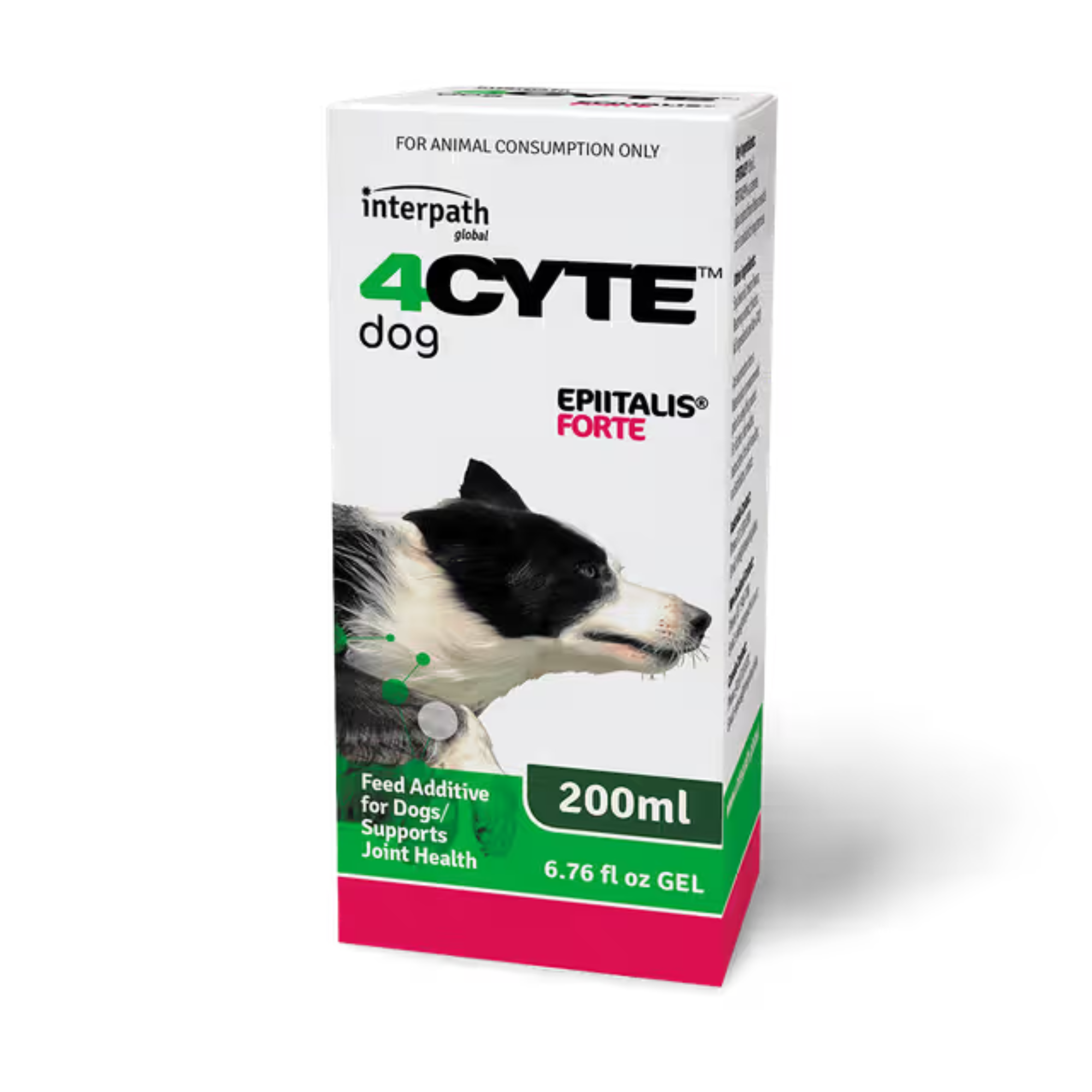 4CYTE Epiitalis Forte Joint Supplement Gel for Dogs