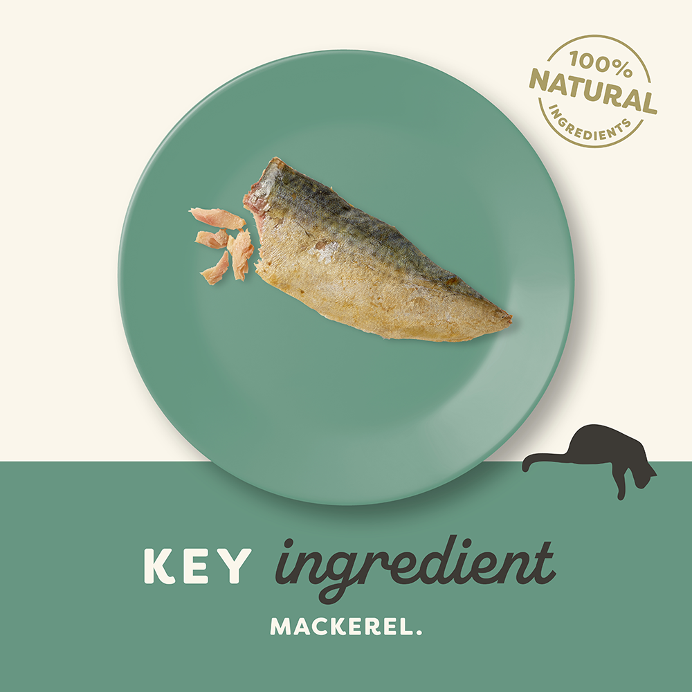 Applaws Wet Cat Whole Mackeral Fillet Treat 30g x 5