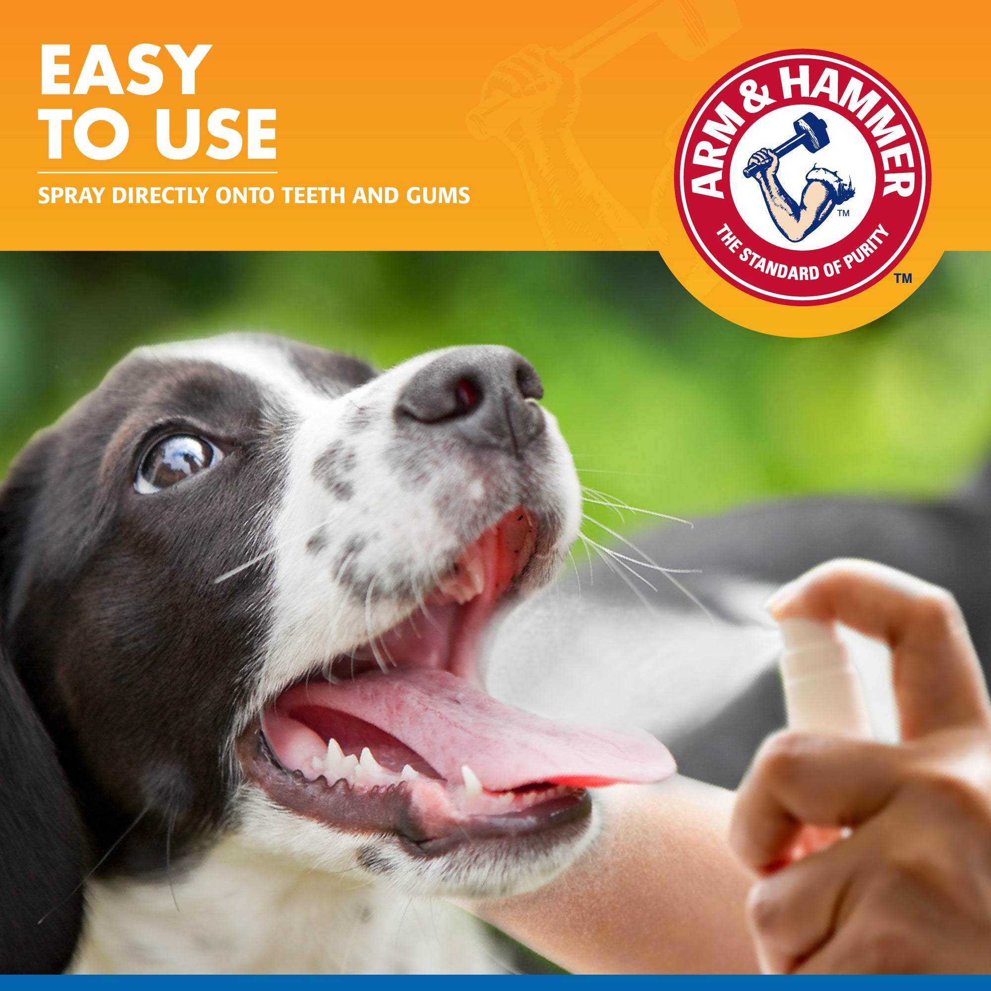 Arm and Hammer Tartar Control Dental Spray for Dogs Mint